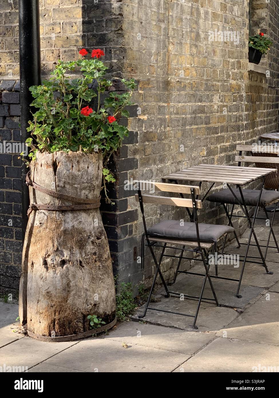 Outside The Mayflower Pub in the borough of Southwark. Corner with an old tree stump. Held together with copper strips. Red Geraniums.  Tables and chairs around the corner. Sunshine Stock Photo