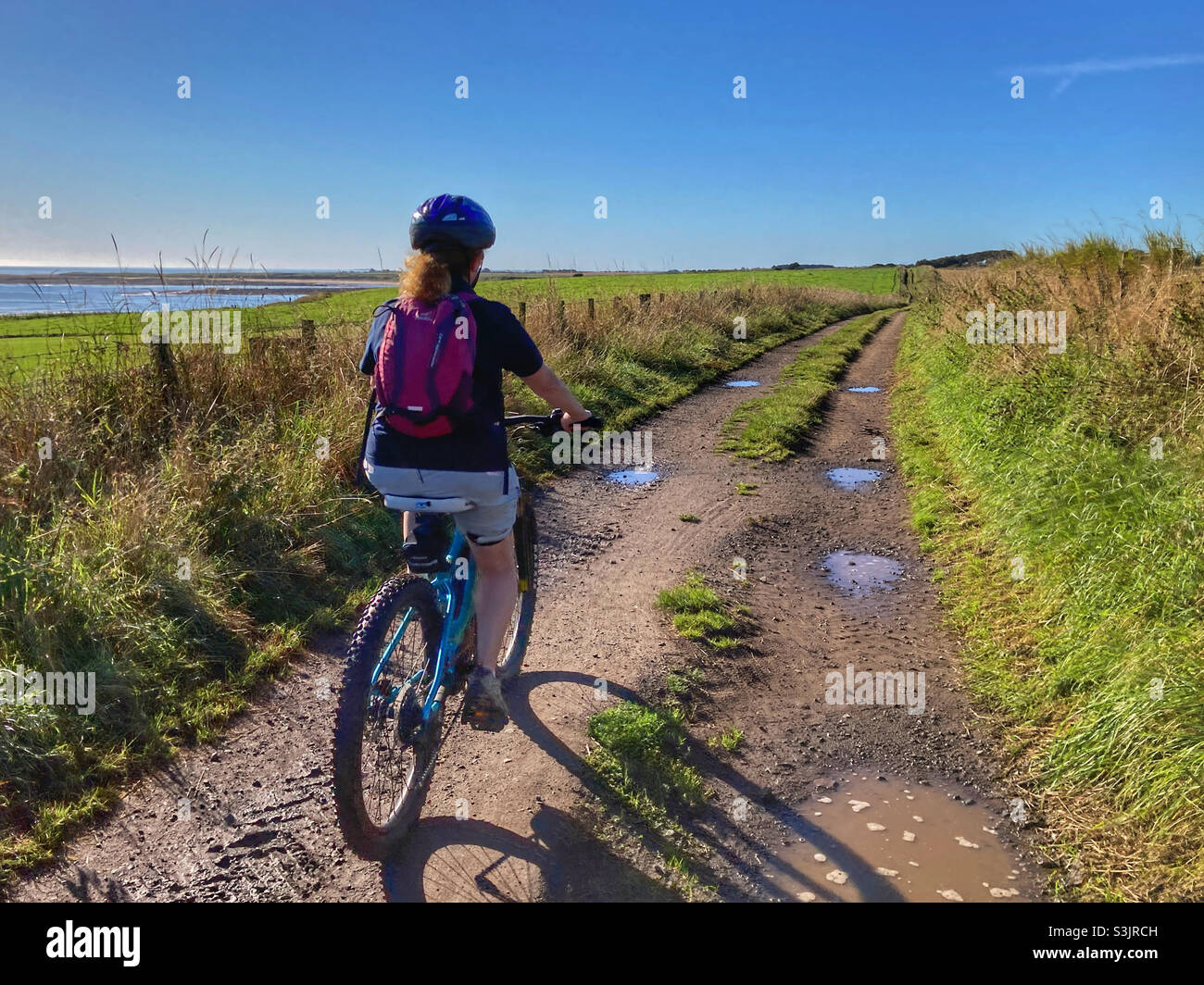Woman cycling on National Cycle Network Route 1 in Northumberland - Smartphone Captured Stock Image