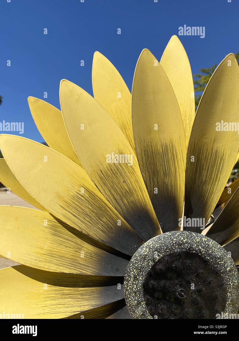 Metal sunflower - Smartphone Captured Stock Image