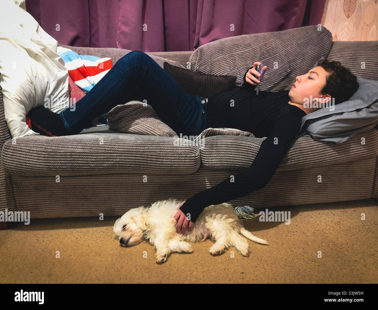 A boy lies on a settee watching his mobile phone while stroking his pet cavapoo dog. - Smartphone Captured Stock Image