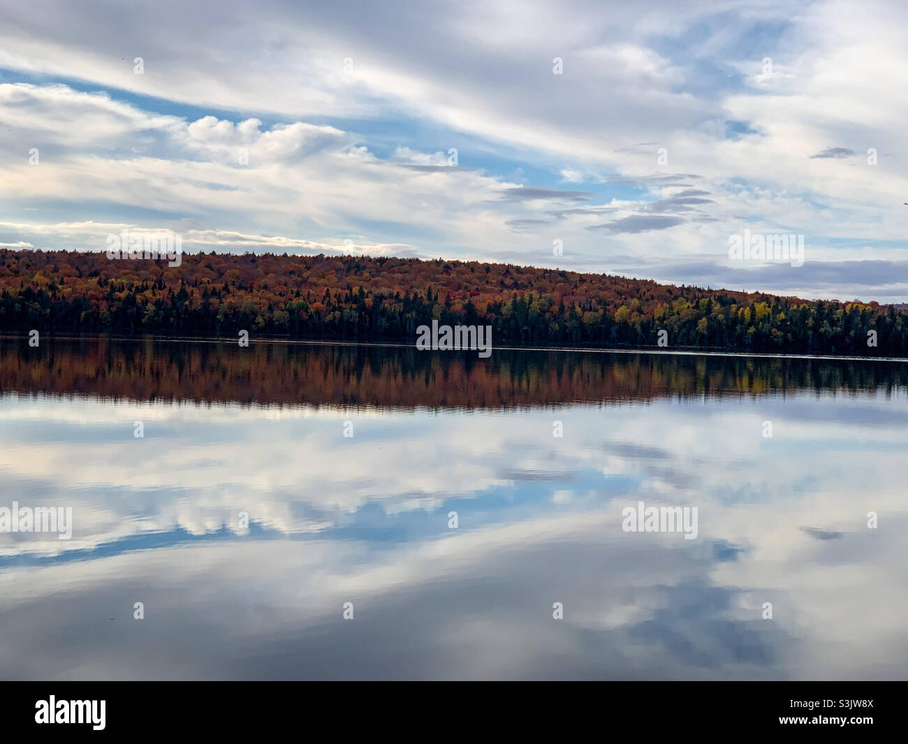 Peak fall foliage and clouds reflecting on a calm lake on an October afternoon in Aroostook County, Maine. - Smartphone Captured Stock Image