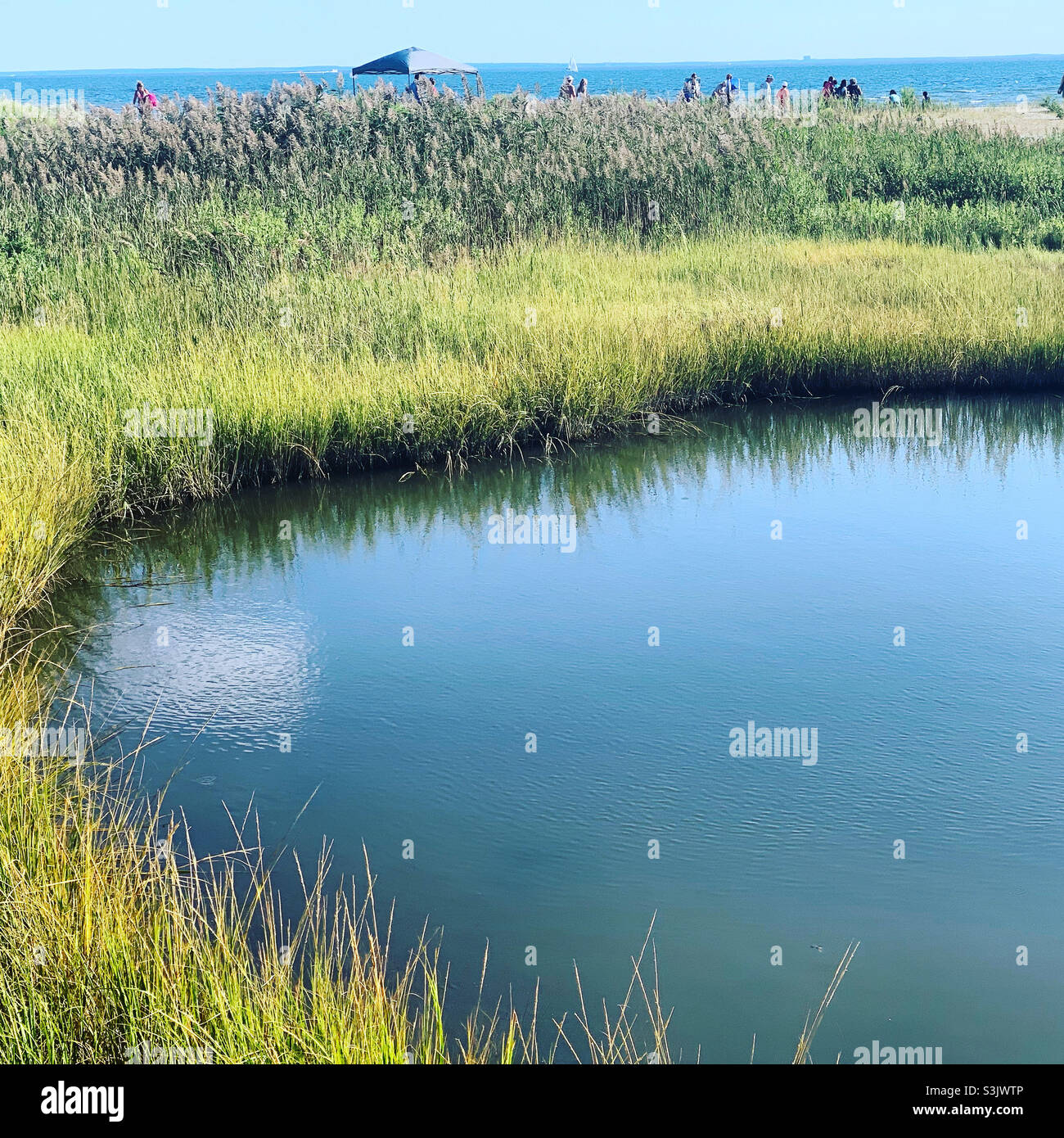 Silver Sands State Park, Milford, New Haven County, Connecticut, United States - Smartphone Captured Stock Image