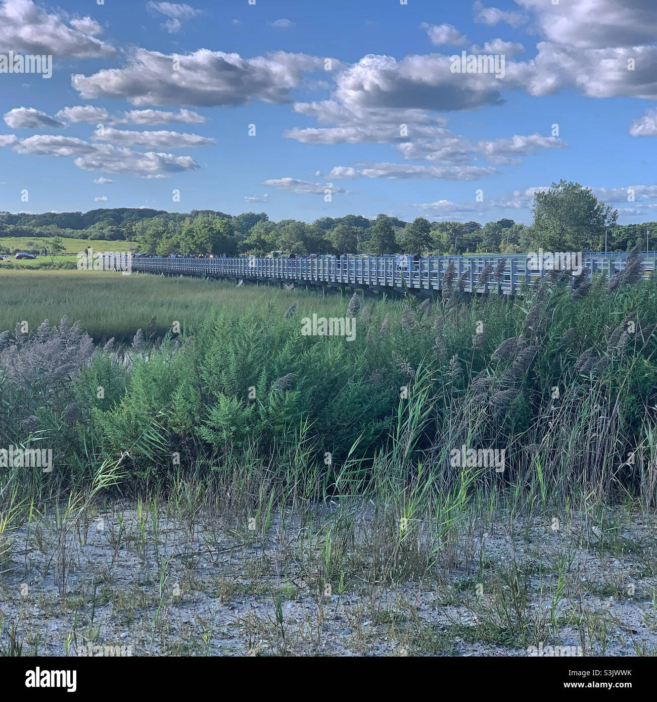 Silver Sands State Park, Milford, New Haven County, Connecticut, United States - Smartphone Captured Stock Image