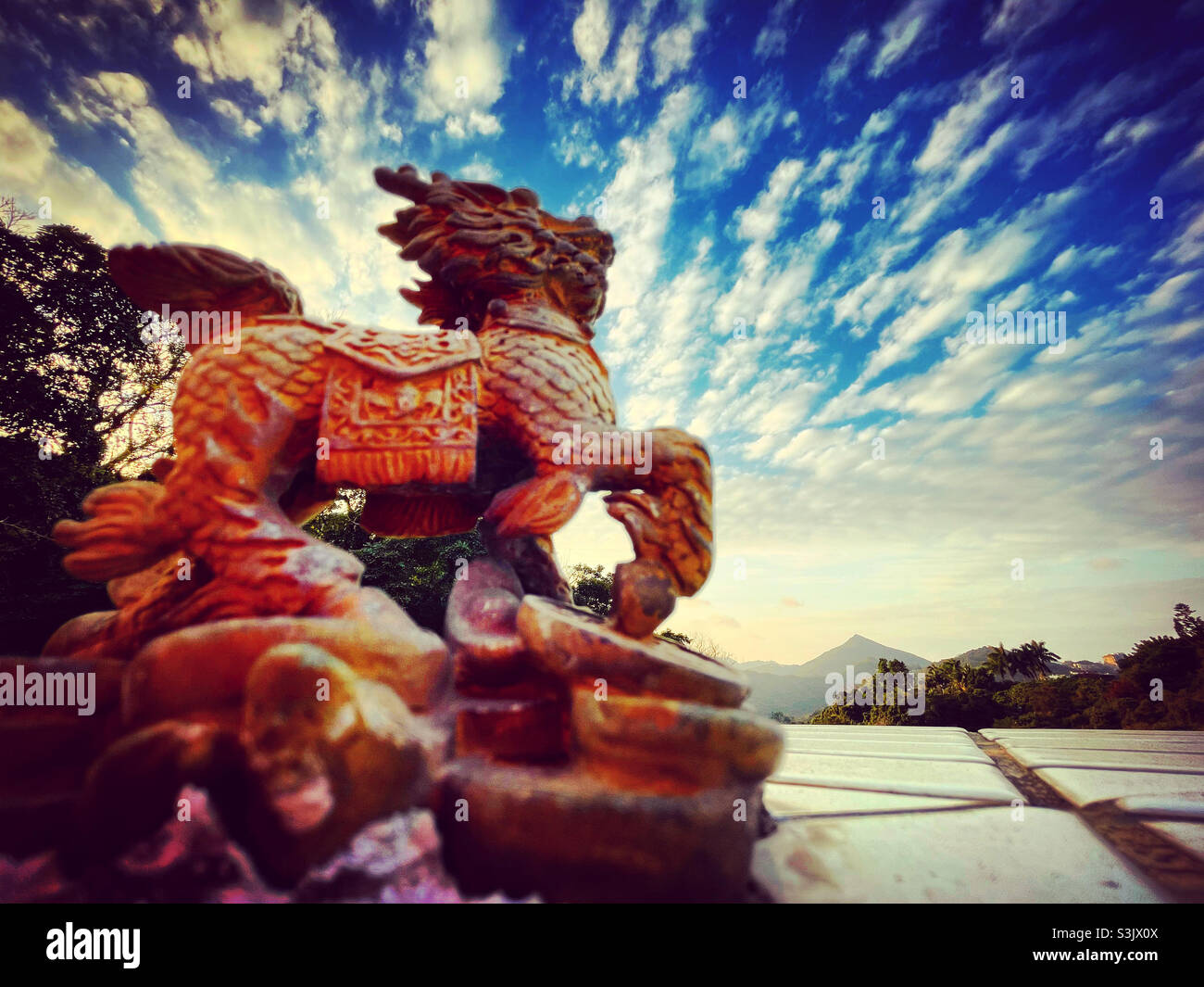 dragon lion statue facing and looking at the sun and clouds - Smartphone Captured Stock Image