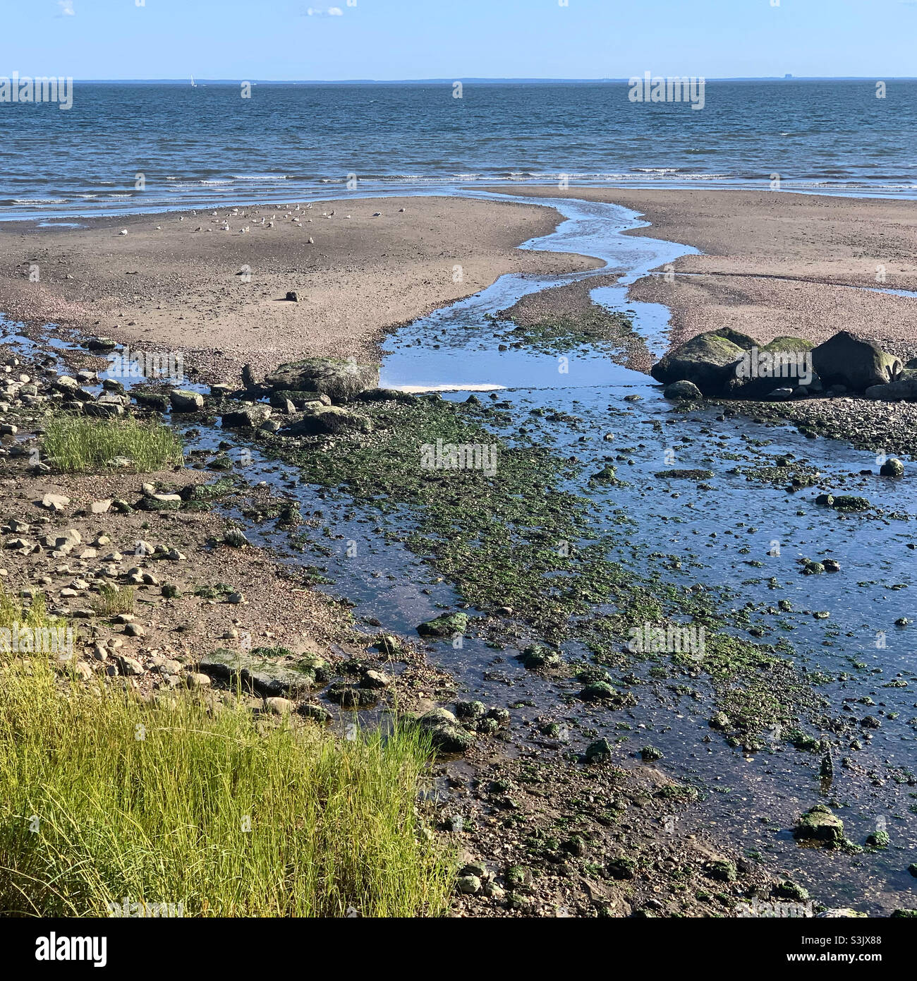 Silver Sands State Park, Milford, New Haven County, Connecticut, United States - Smartphone Captured Stock Image