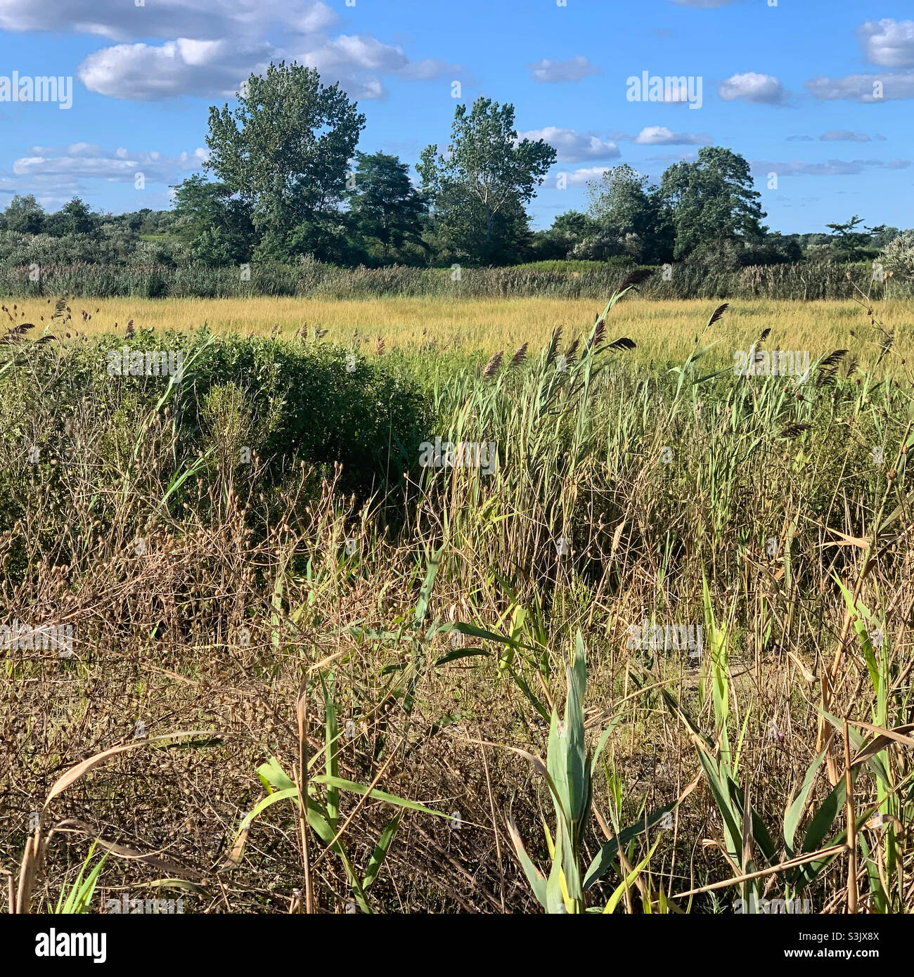 Silver Sands State Park, Milford, New Haven County, Connecticut, United States - Smartphone Captured Stock Image