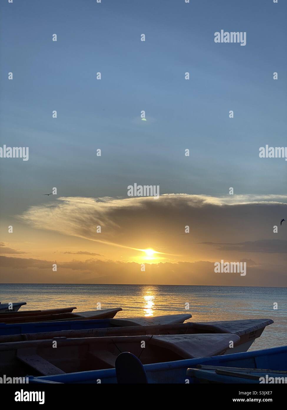 Palmar de ocoa, Dominican Republic Stock Photo Alamy