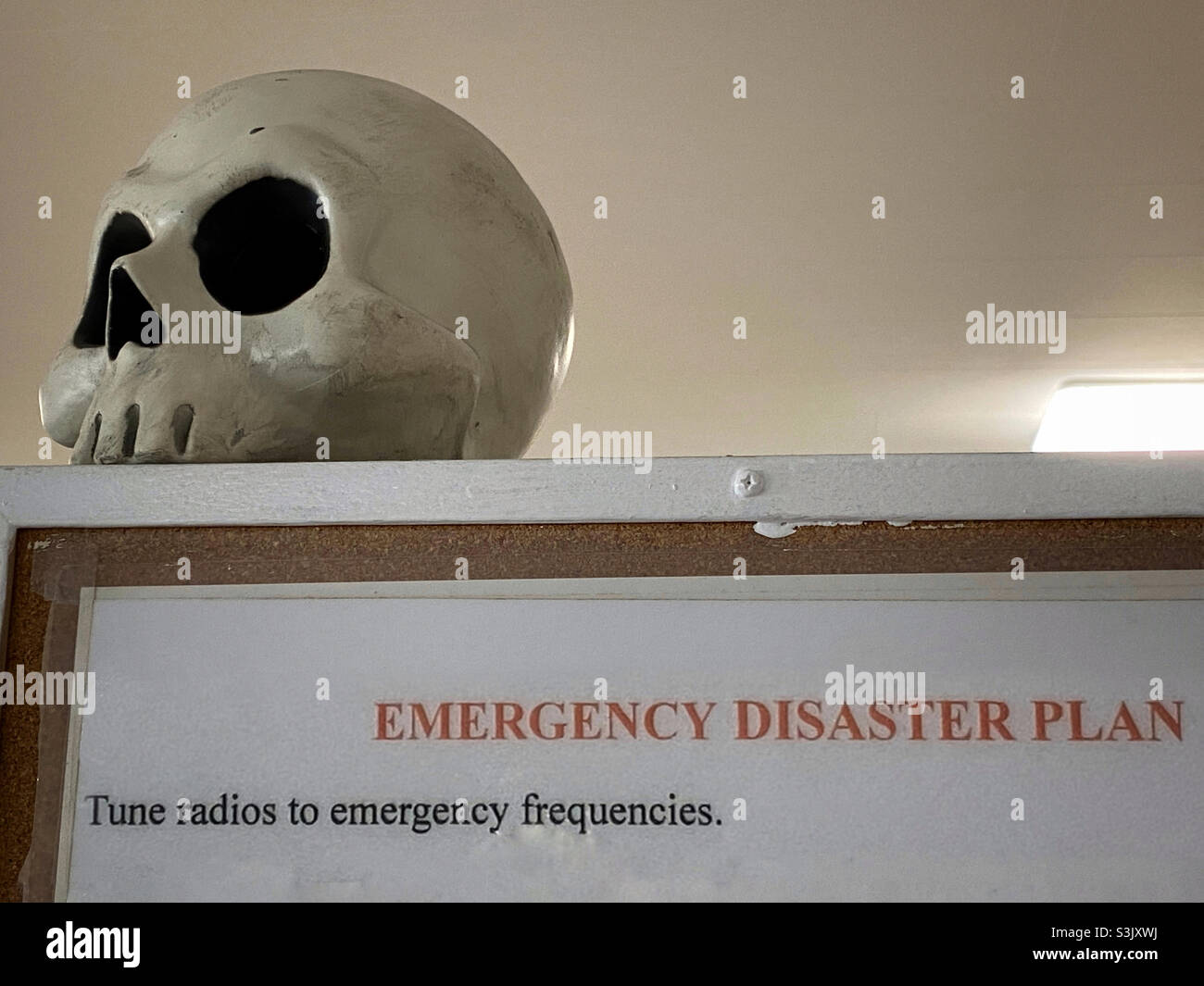 Halloween decoration in a government office - Smartphone Captured Stock Image