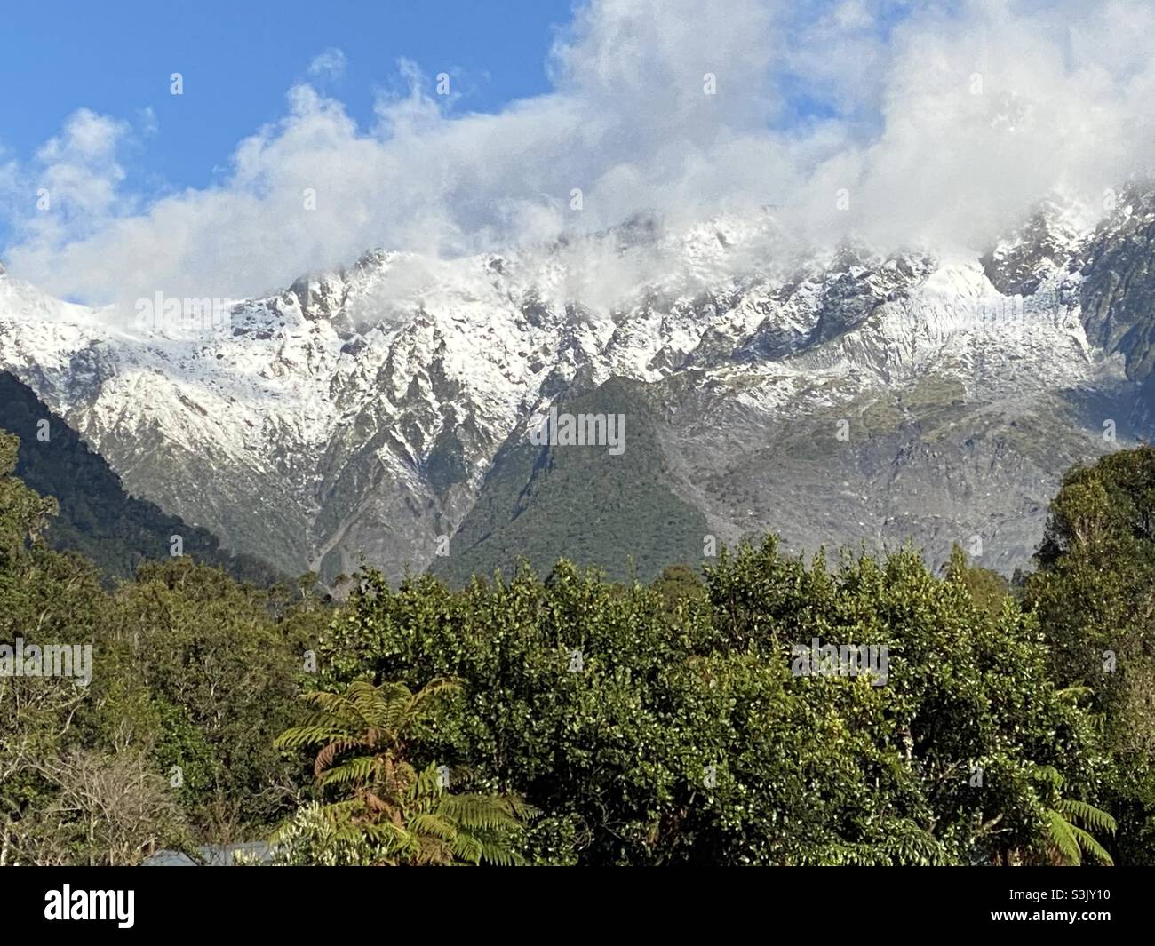 Driving through New Zealand’s West Coast Stock Photo Alamy