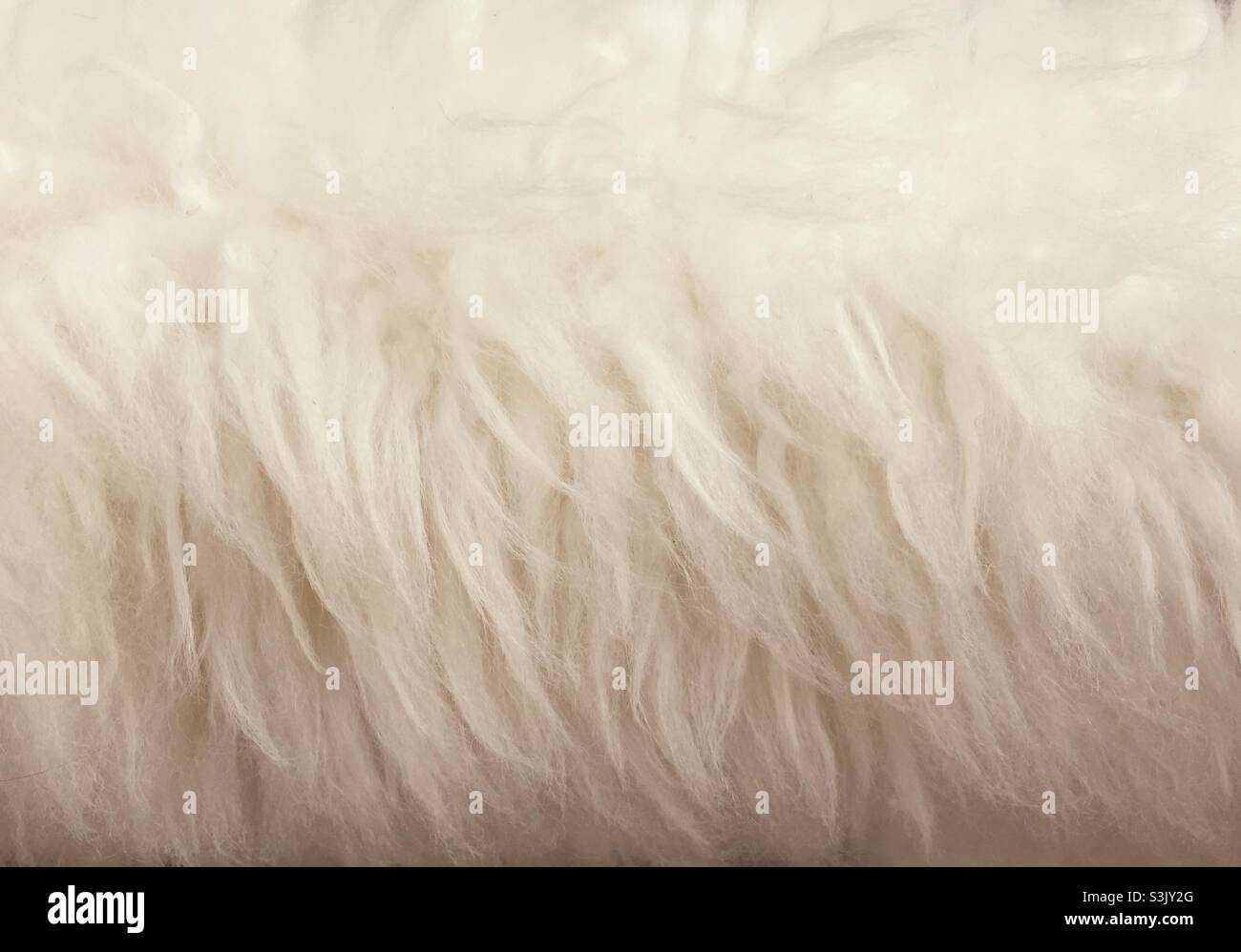White furry background - Smartphone Captured Stock Image