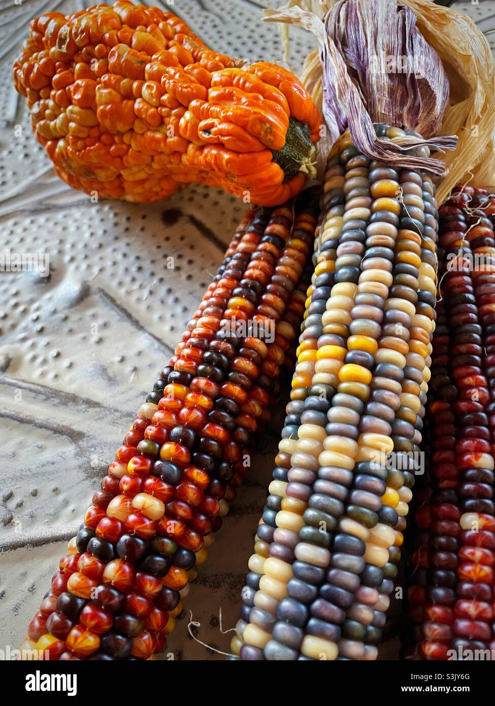 Autumn decorations include Indian corn and colorful gourds, USA, 2021 - Smartphone Captured Stock Image