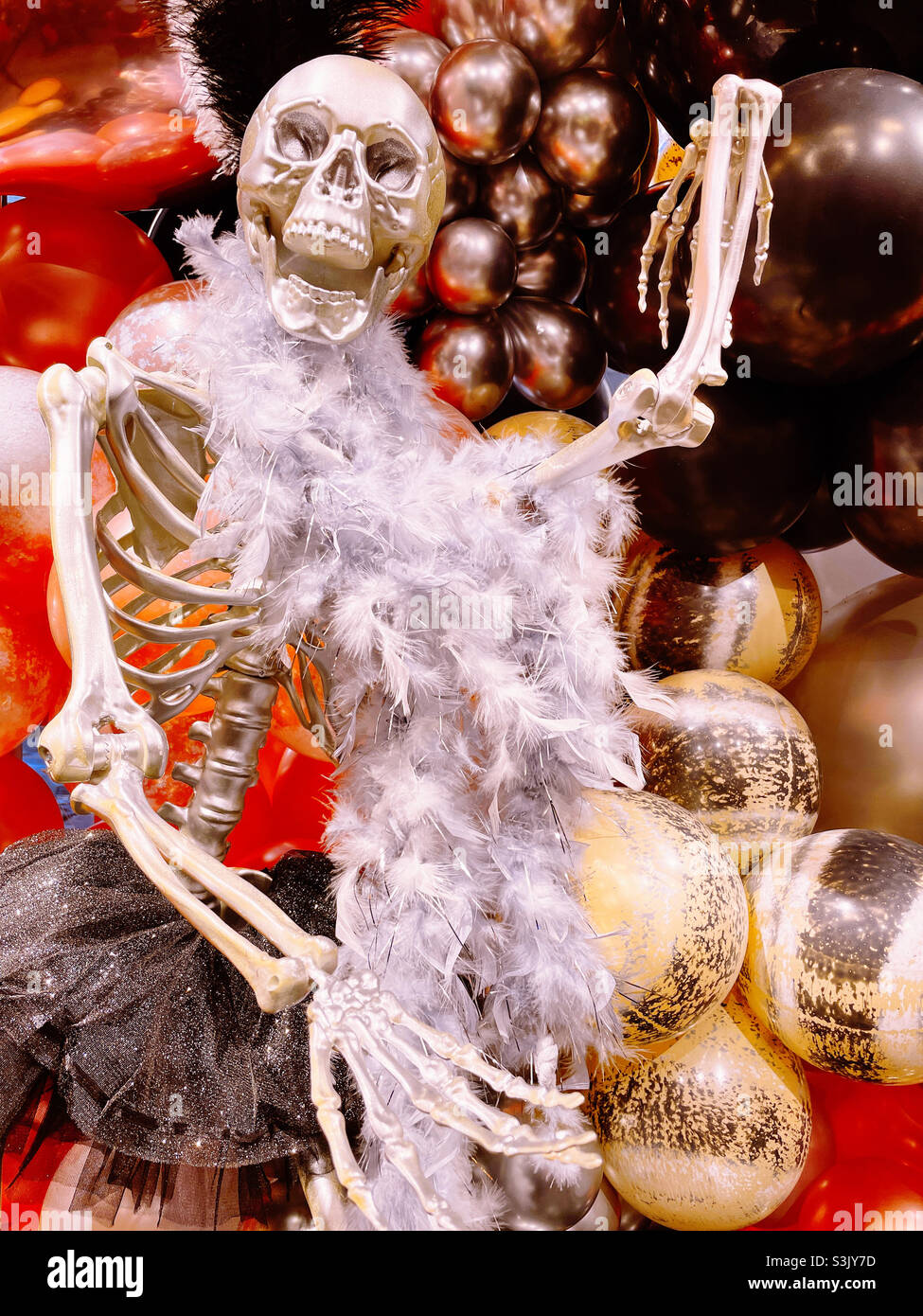 Halloween Display features a frightening plastic skeleton, New York City, 2021, USA - Smartphone Captured Stock Image