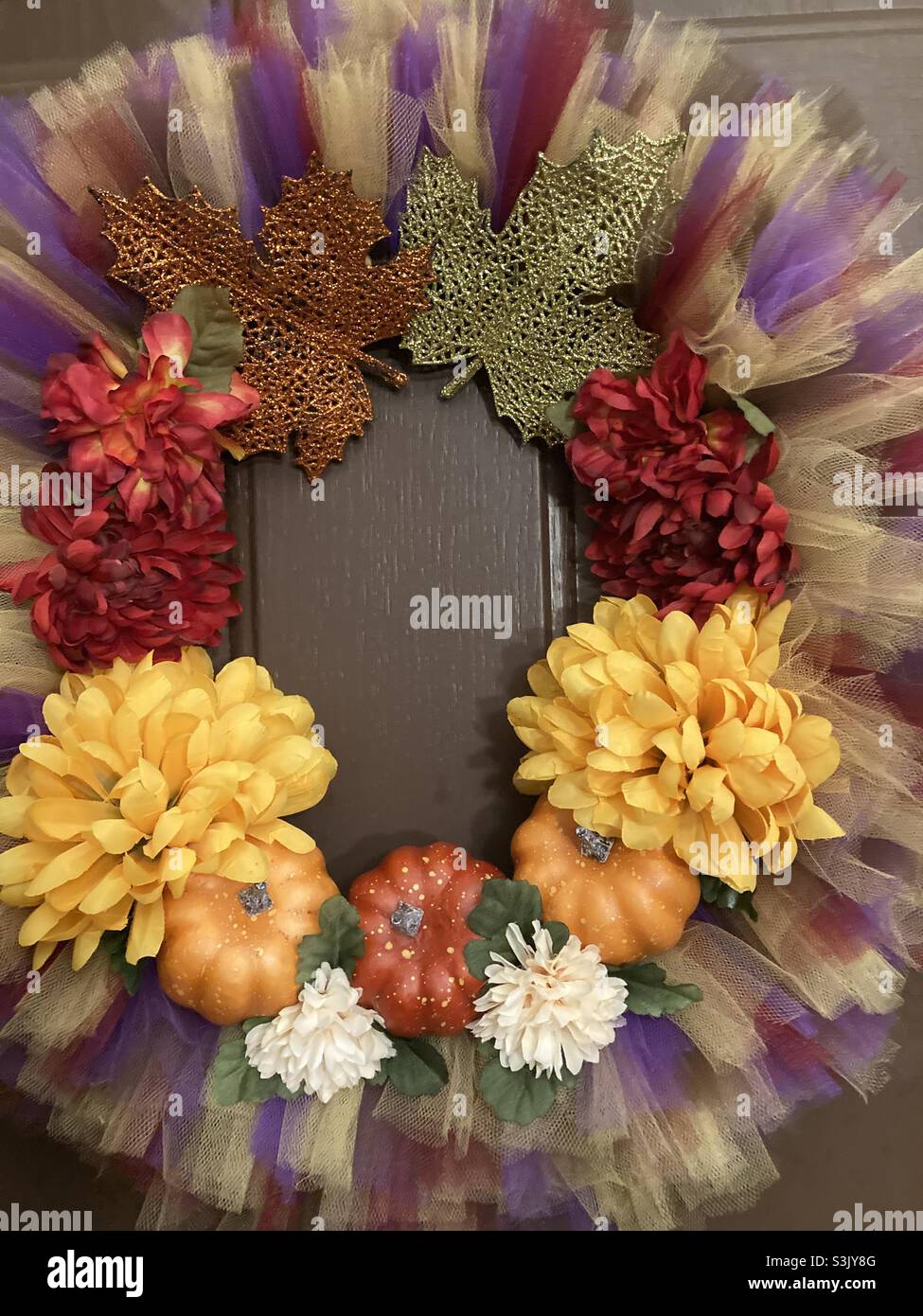 Autumn colors Stock Photo