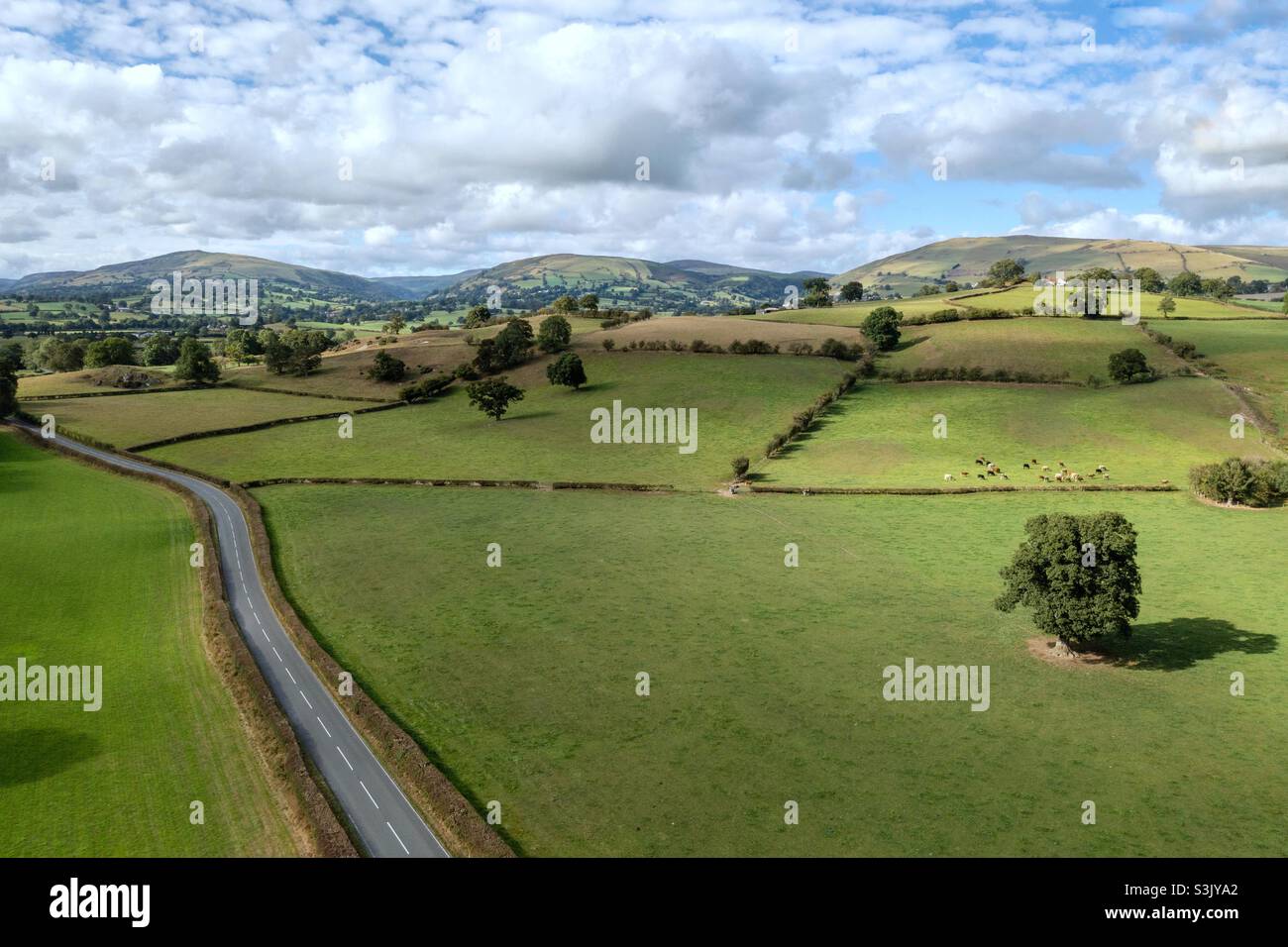 Road to no where - Smartphone Captured Stock Image