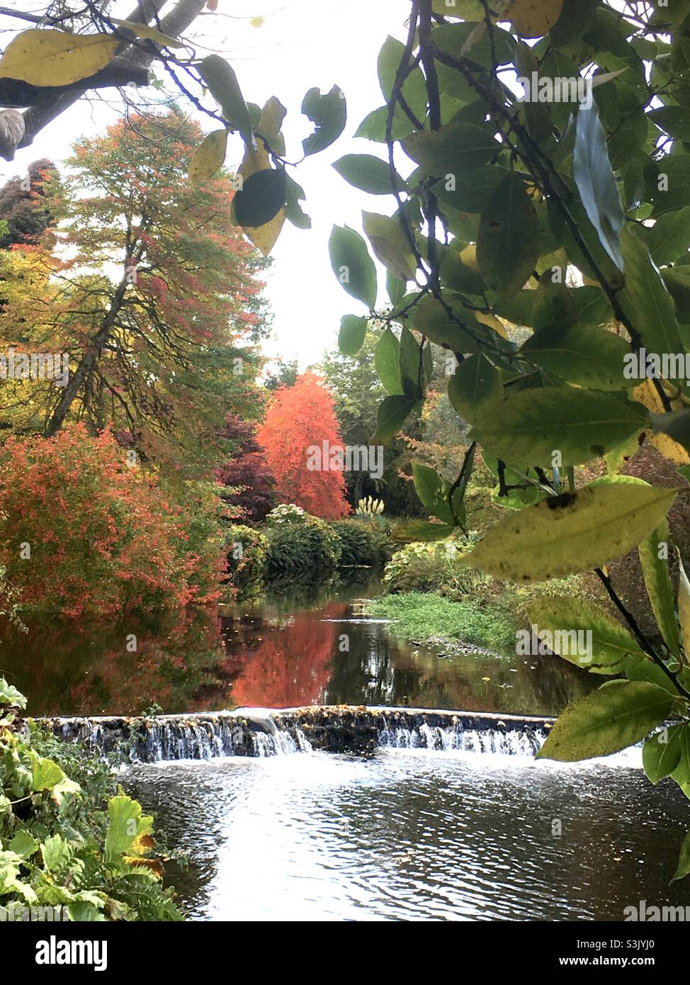 Landscape, autumnal scene, green, red, river , trees , nature Stock Photo