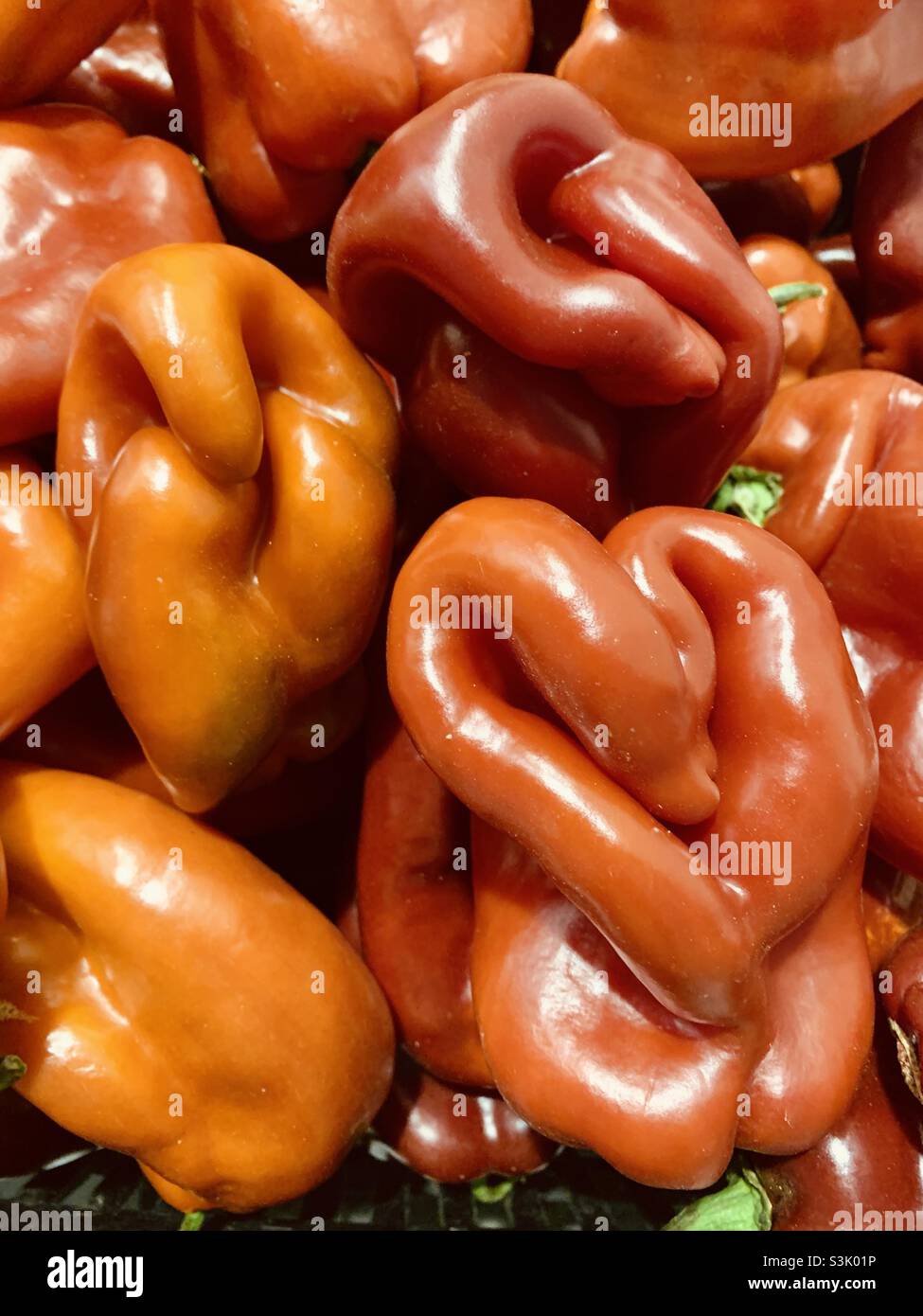 Red peppers with strange faces and heart shape Stock Photo