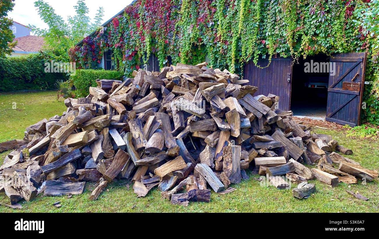 Log pile - Smartphone Captured Stock Image