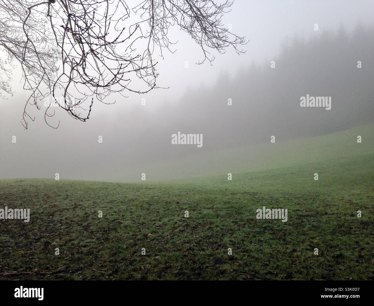 Misty English rural landscape - Smartphone Captured Stock Image