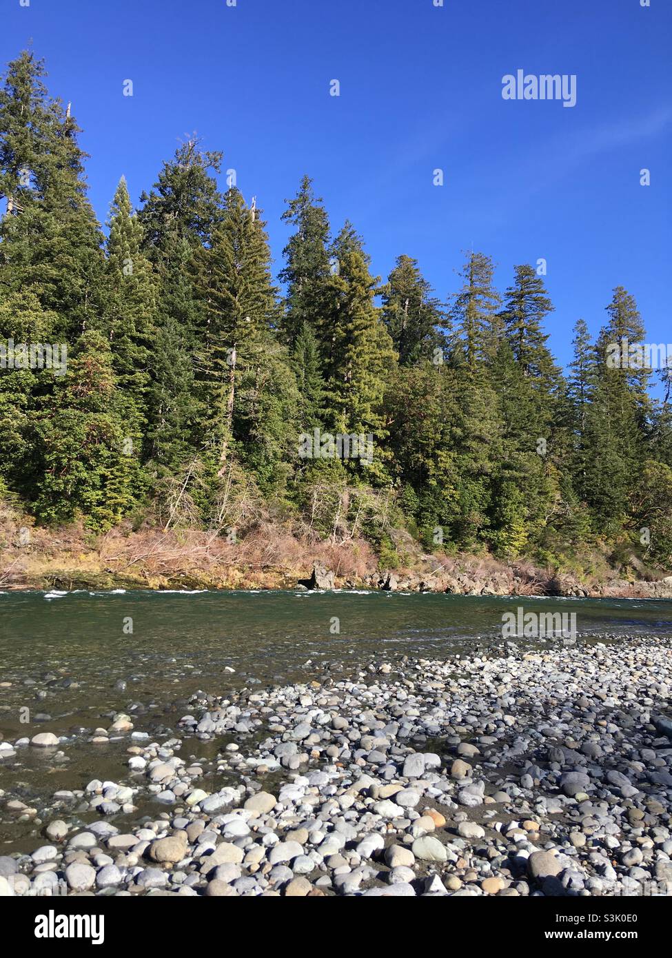 Nature Trail River at Jedediah Smith Redwoods State Park Crescent City California Stock Photo