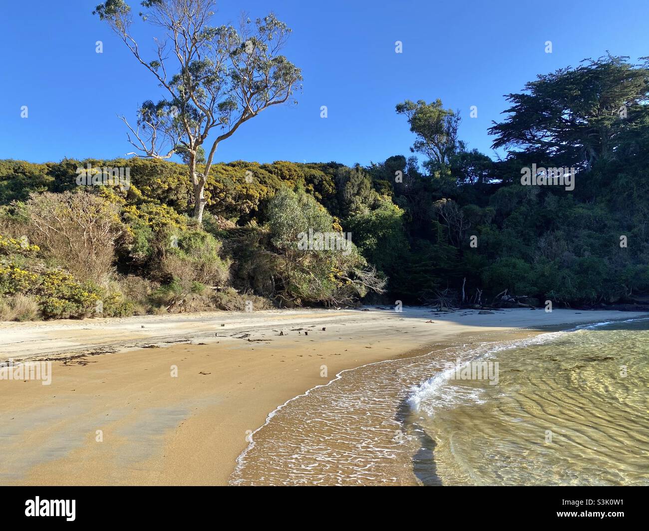 Stewart Island , New Zealand Stock Photo Alamy