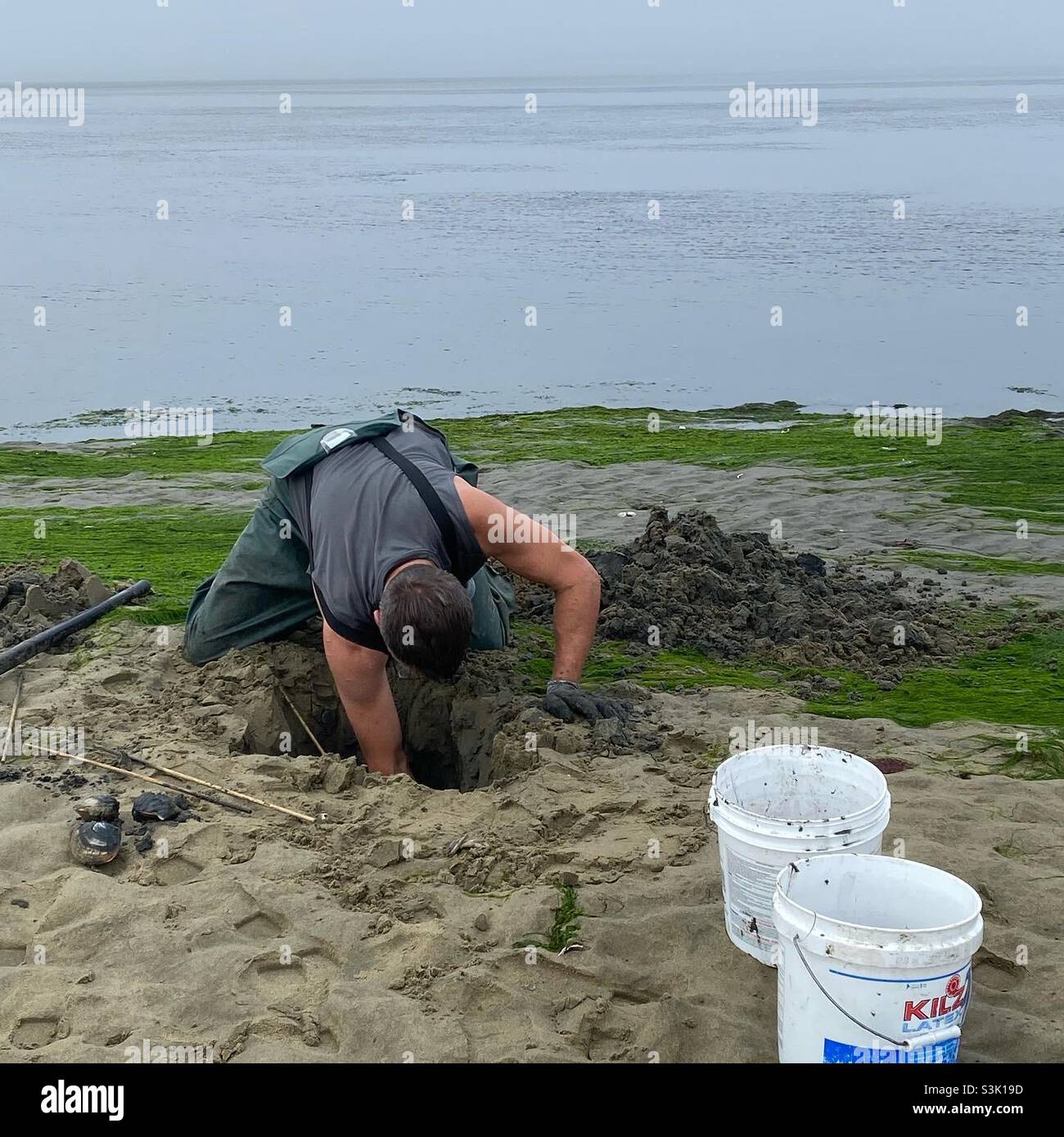 Clam digging oregon hires stock photography and images Alamy