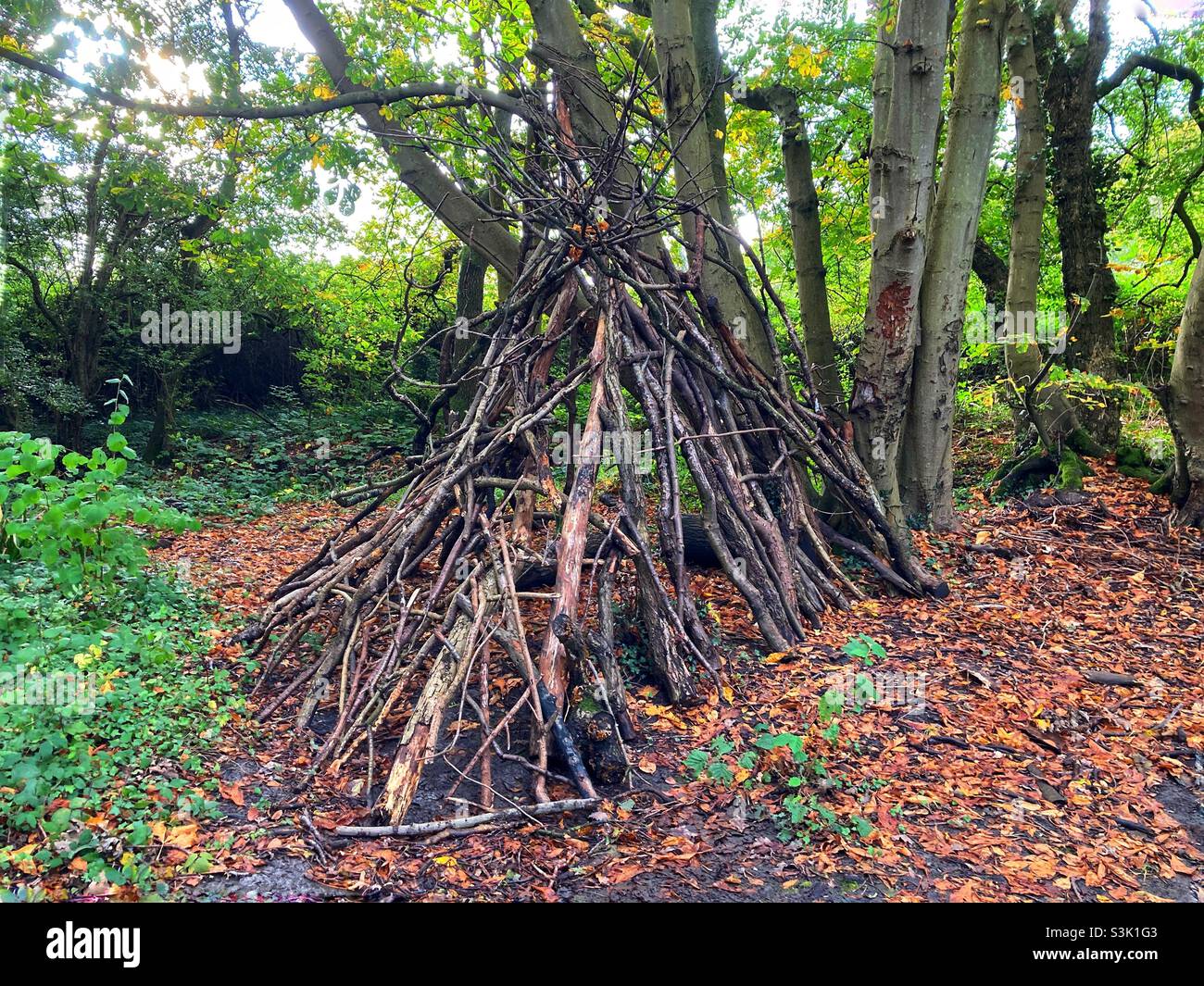 A woodland shelter made from leaning branches Stock Photo - Alamy