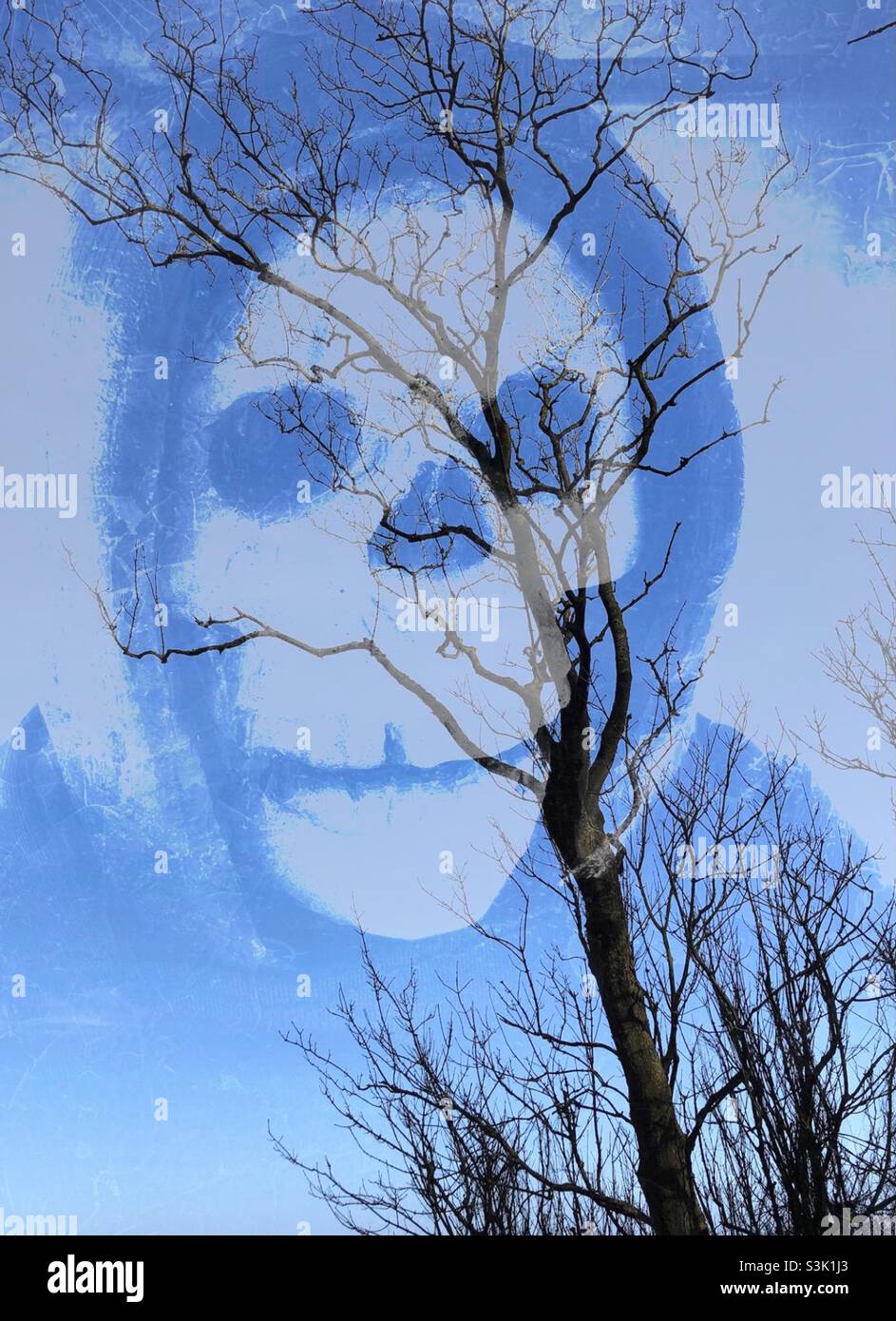 Hallowe’en skeleton mask - Smartphone Captured Stock Image