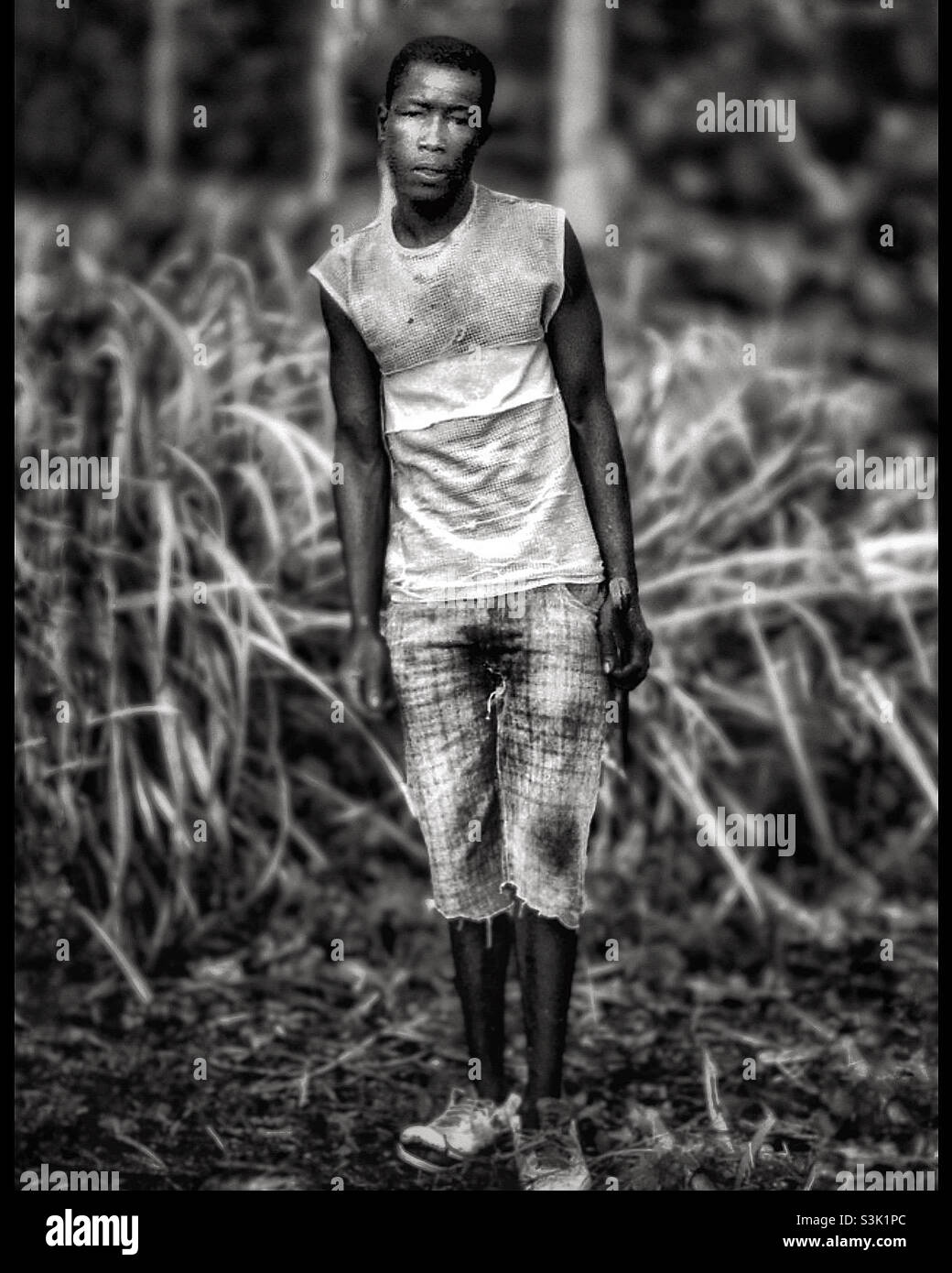 Jamaican agricultural worker. - Smartphone Captured Stock Image
