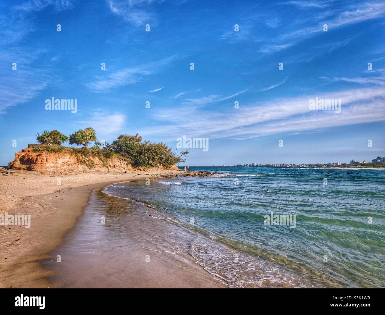 Pincushion island maroochy river queensland hires stock photography