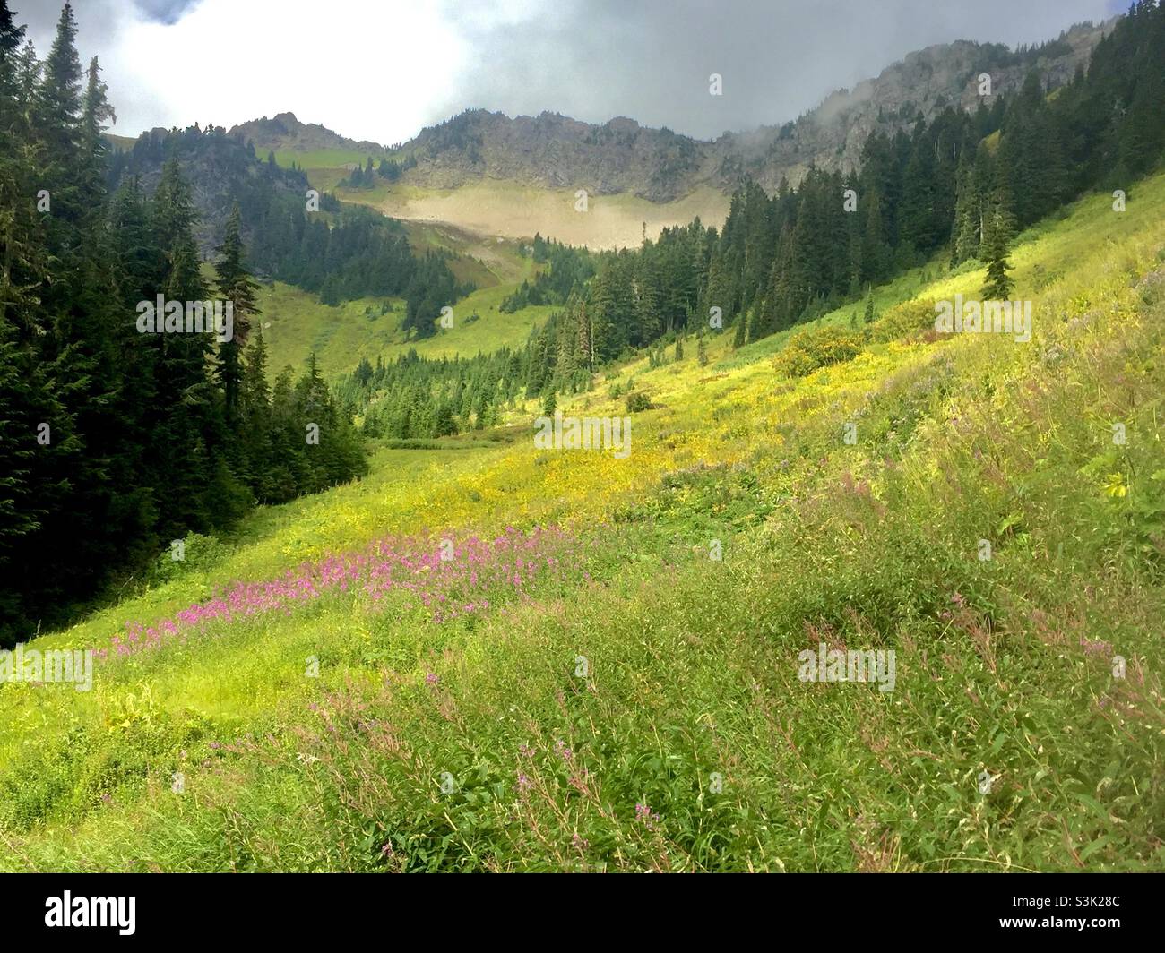 Church Mountain trail in the North Cascades in the spring. Washington State - Smartphone Captured Stock Image