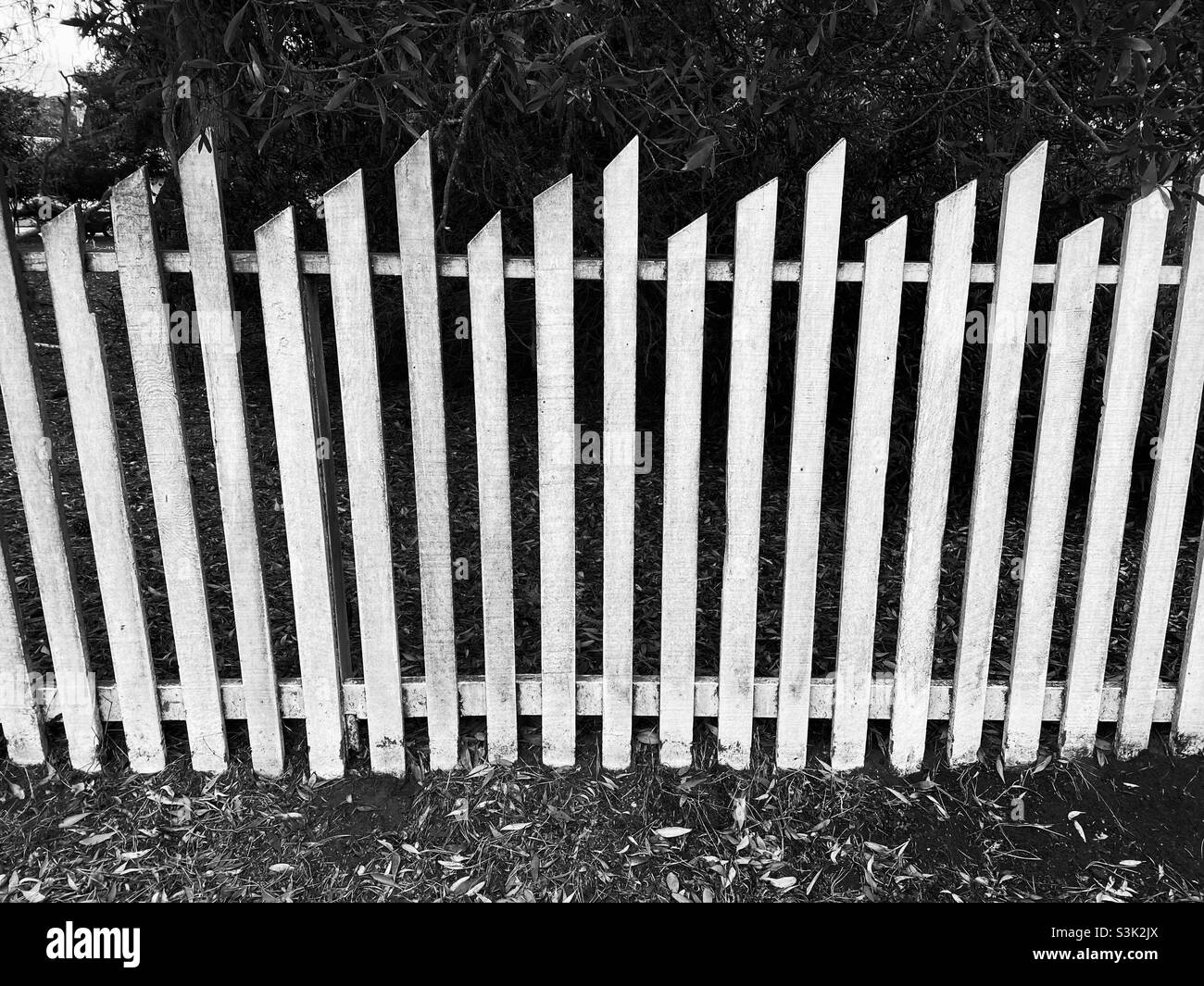Wooden picket fence in black snd white Stock Photo Alamy