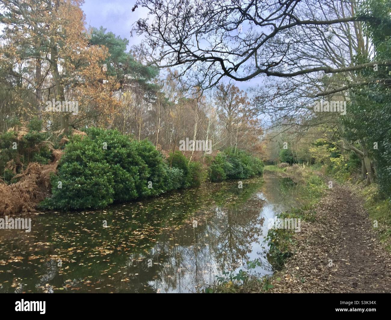 Autumn Along the Basingstoke Canal , Surrey England Stock Photo