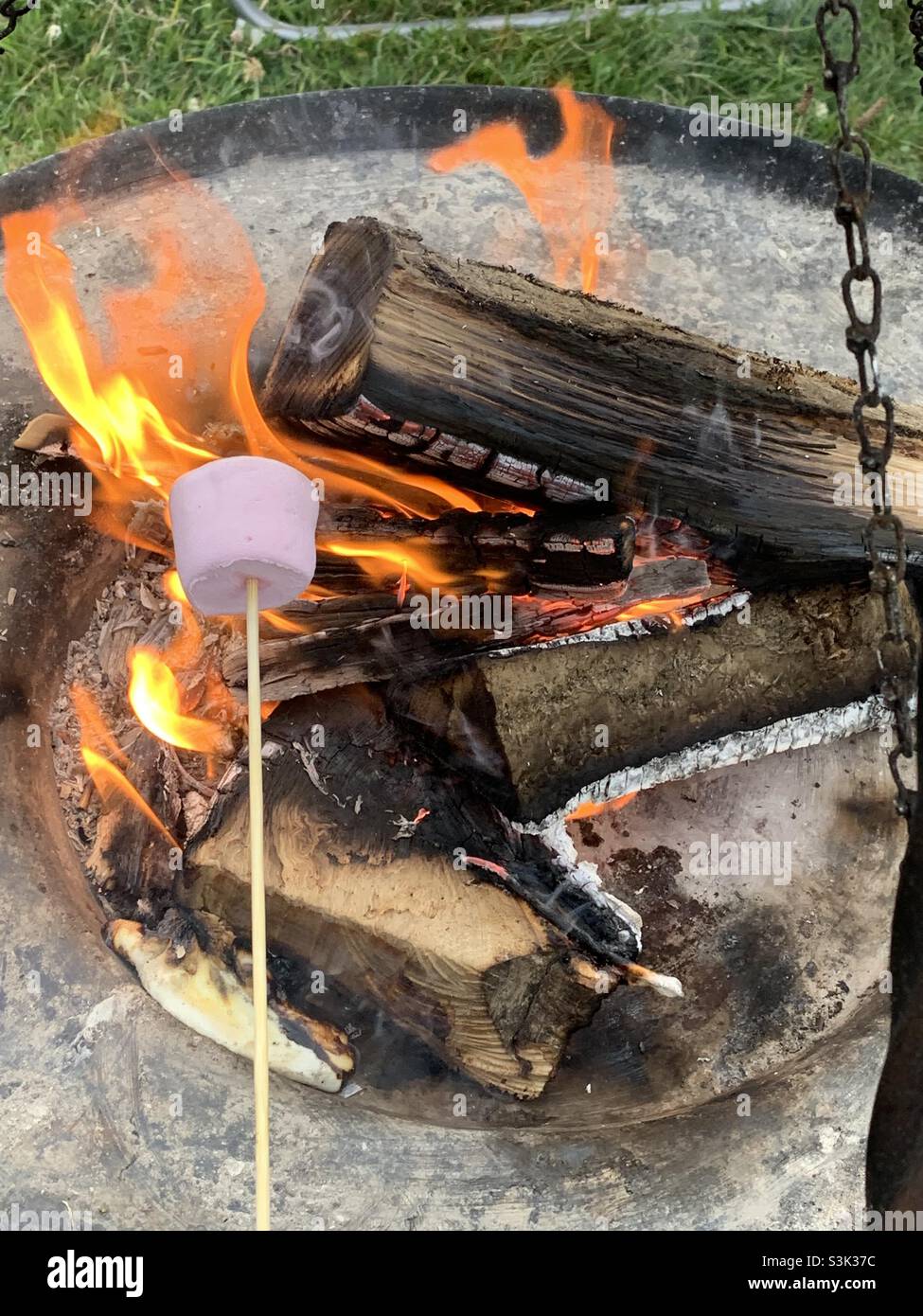 Marshmallow over fire Stock Photo Alamy