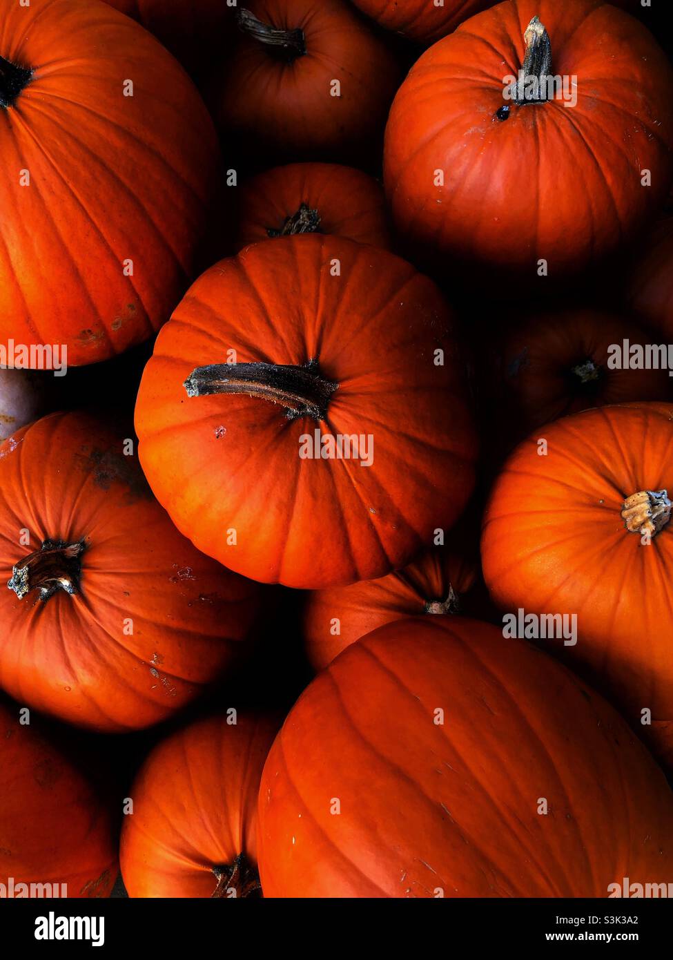 Full frame food background image of deep orange pumpkins in a stack of pile on the farmers market for Halloween - Smartphone Captured Stock Image