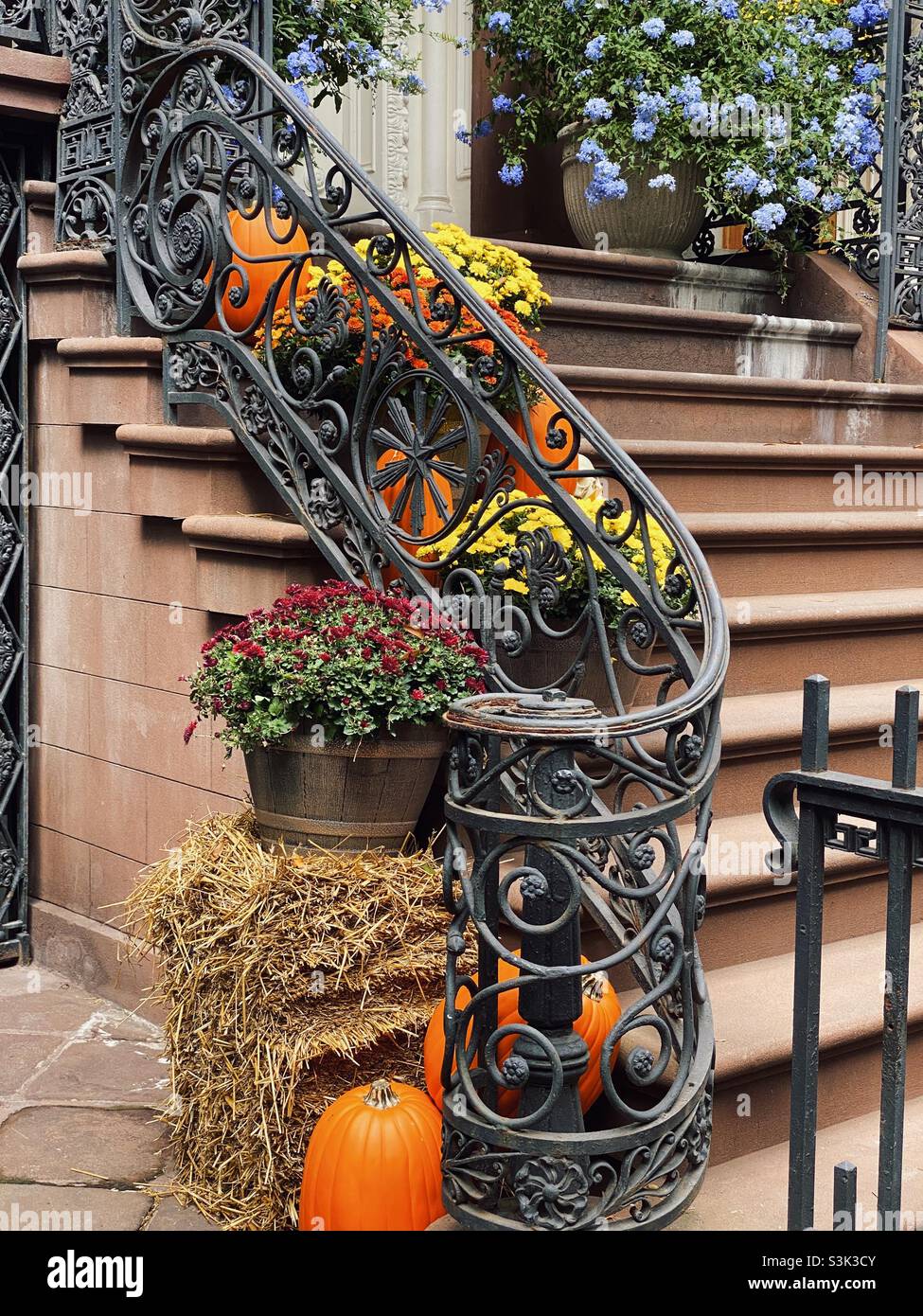 House decorated for Halloween, Gramercy Park, New York City. - Smartphone Captured Stock Image