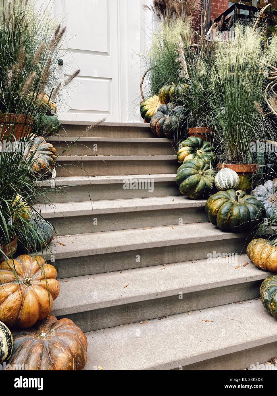Entrance of townhouse decorated with gourds. - Smartphone Captured Stock Image