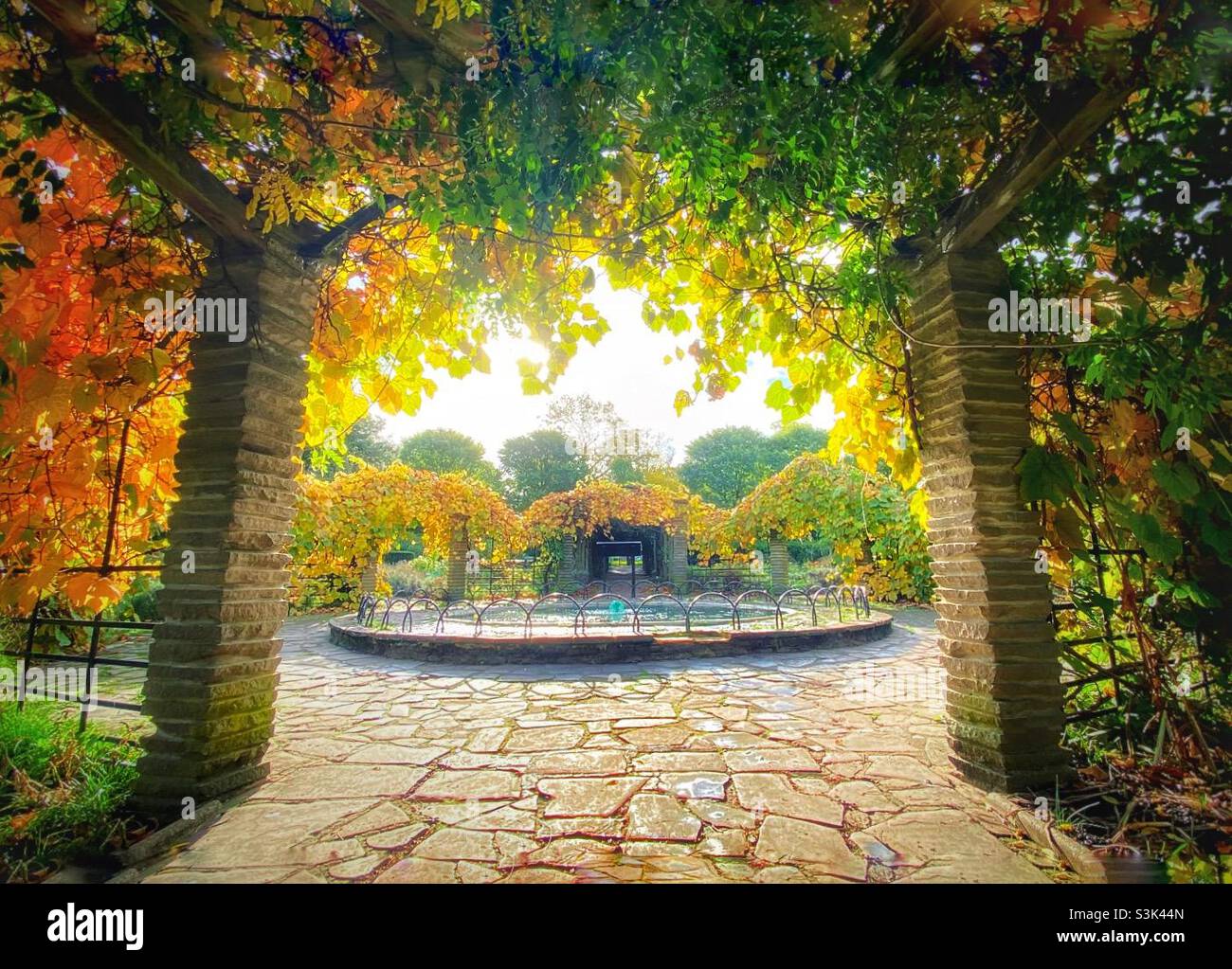 Autumn colour in Peckham Rye park Stock Photo - Alamy