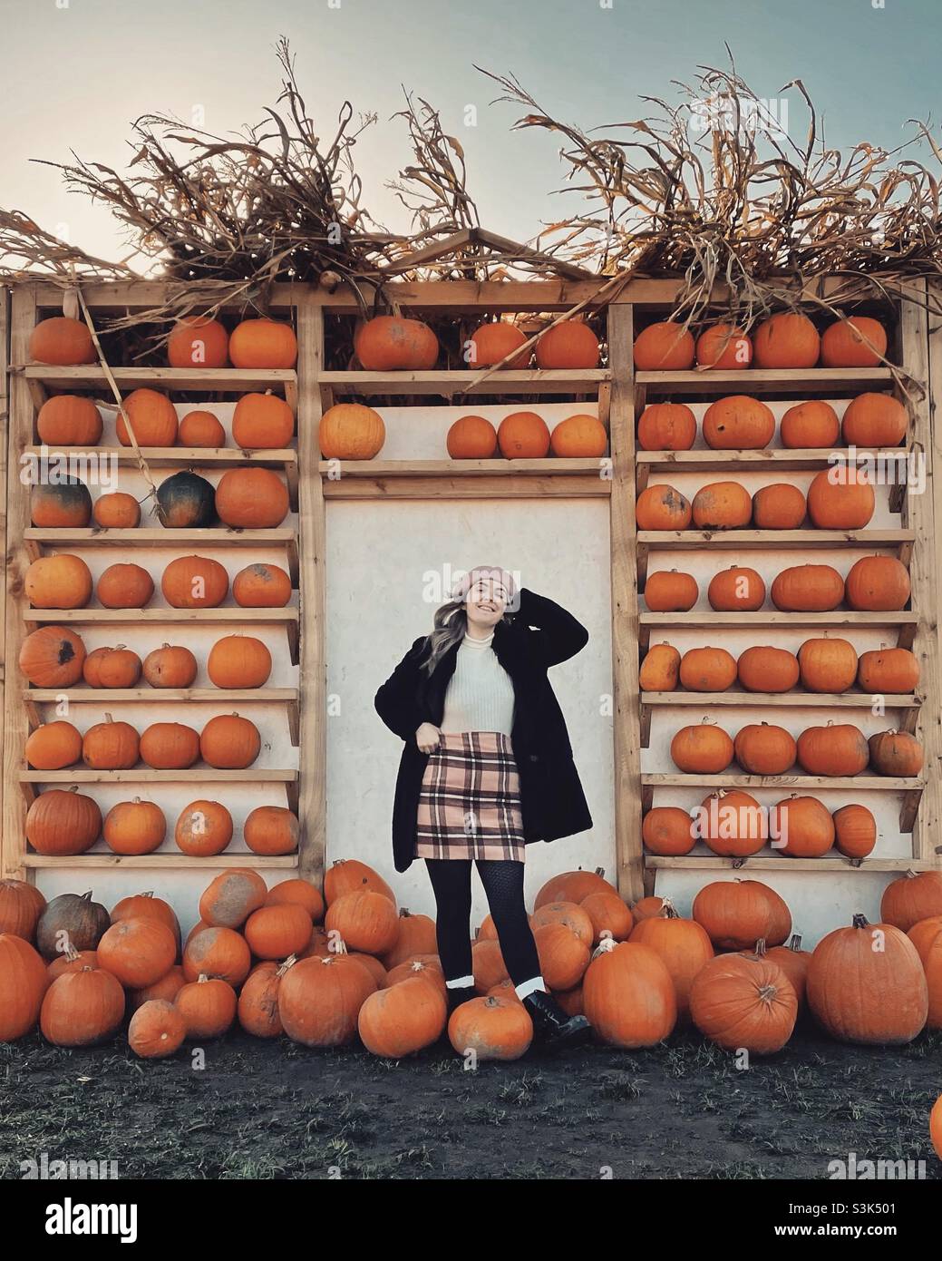 Girl at pumpkin farm Stock Photo