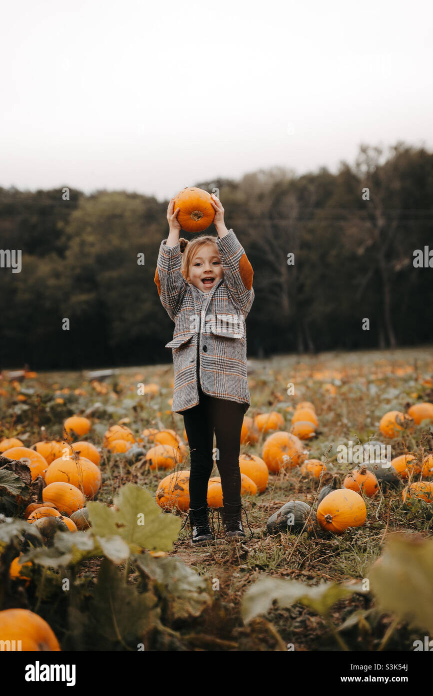Pumpkin picking Stock Photo