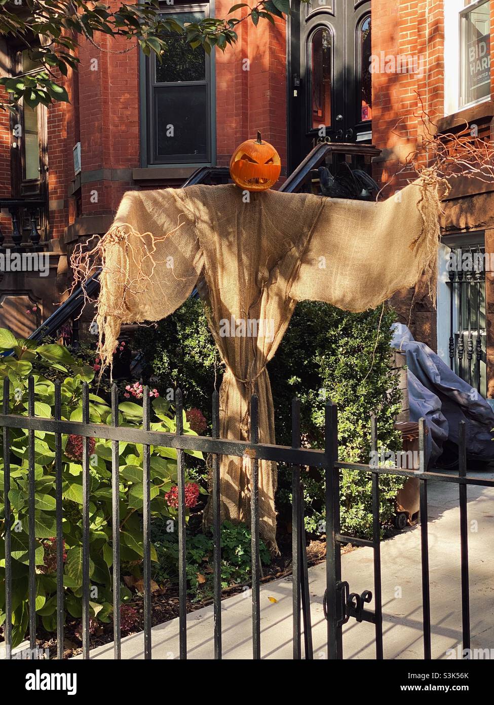 House with pumpkin head scarecrow in front for Halloween, Brooklyn, New York, USA. - Smartphone Captured Stock Image