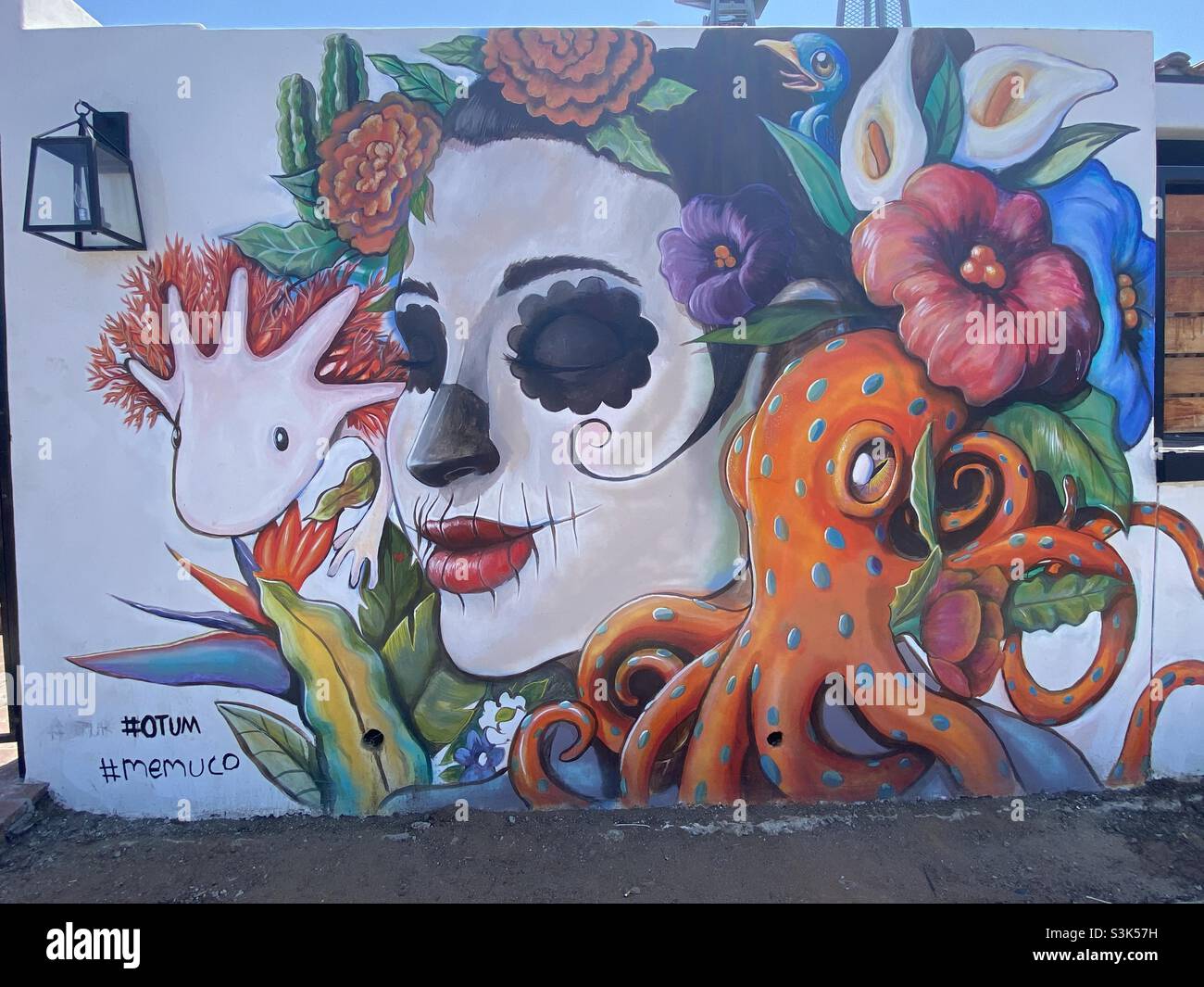 Mexican heritage hi-res stock photography and images - Alamy