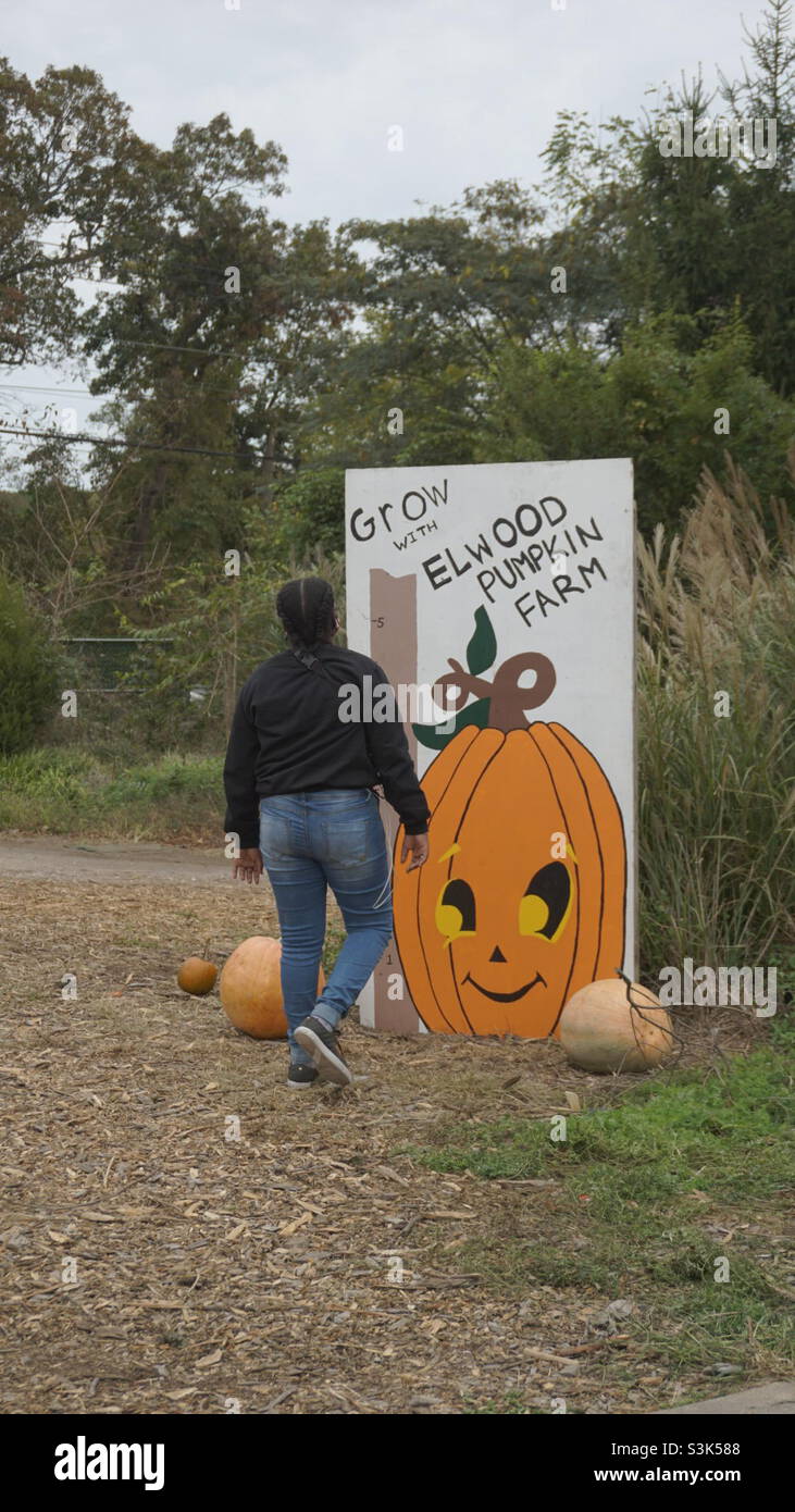 Young child at the pumpkin farm. Stock Photo