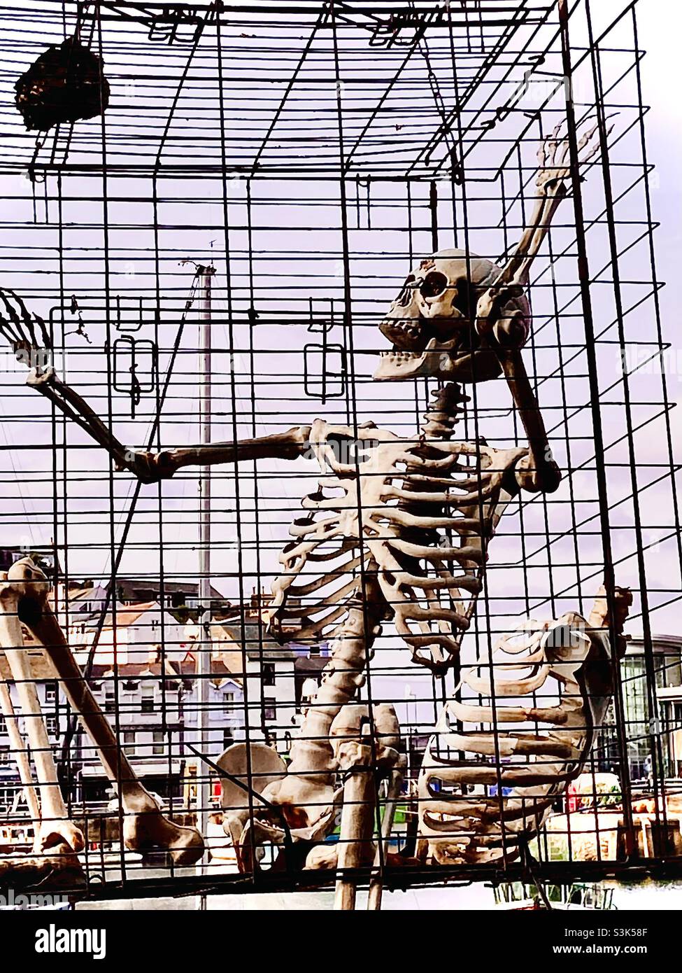 Let me out, it is Halloween. Stock Photo