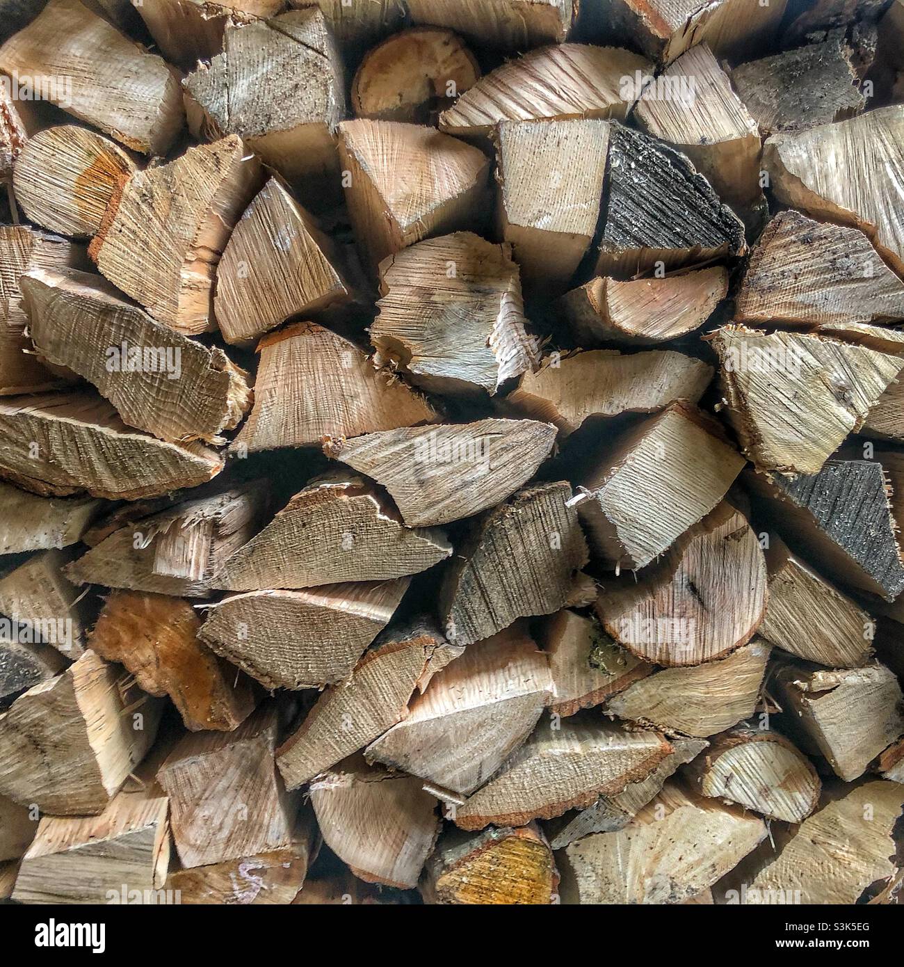 Firewood - Smartphone Captured Stock Image