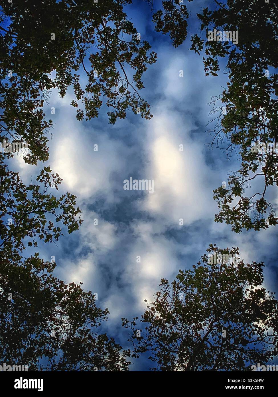 Clouds framed with leaves - Smartphone Captured Stock Image