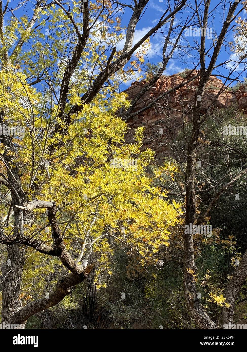 Beautiful Sedona Arizona - Smartphone Captured Stock Image