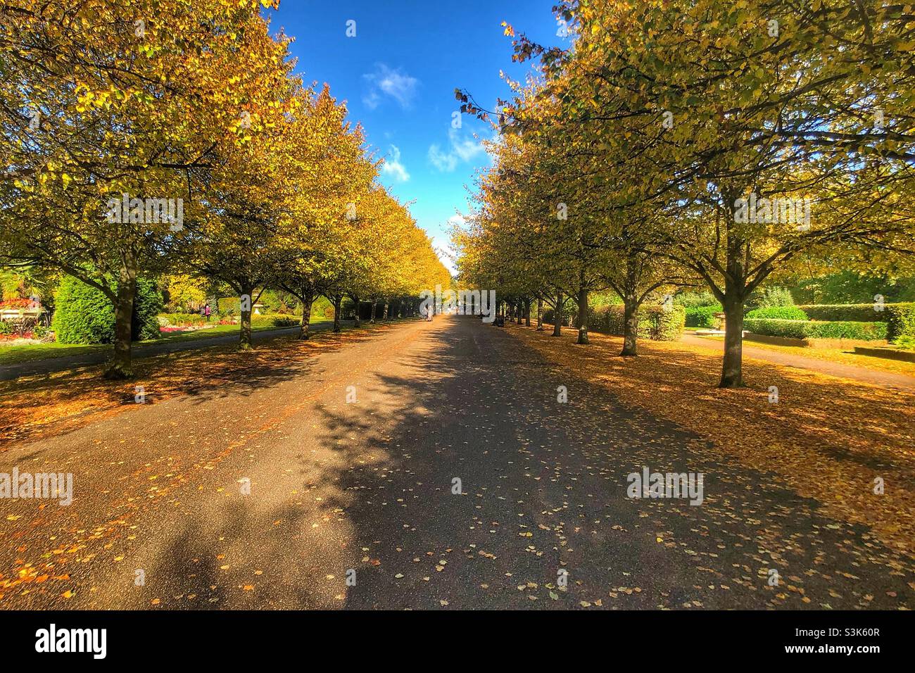 Autumn Regent’s Park London Stock Photo