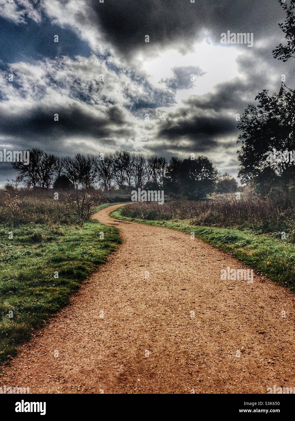 Empty path with a red soil in a park Stock Photo