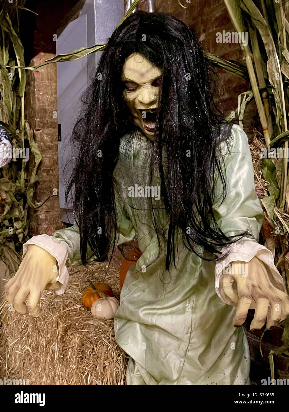 Scary witch decoration a Chelsea Market a New York City - Smartphone Captured Stock Image