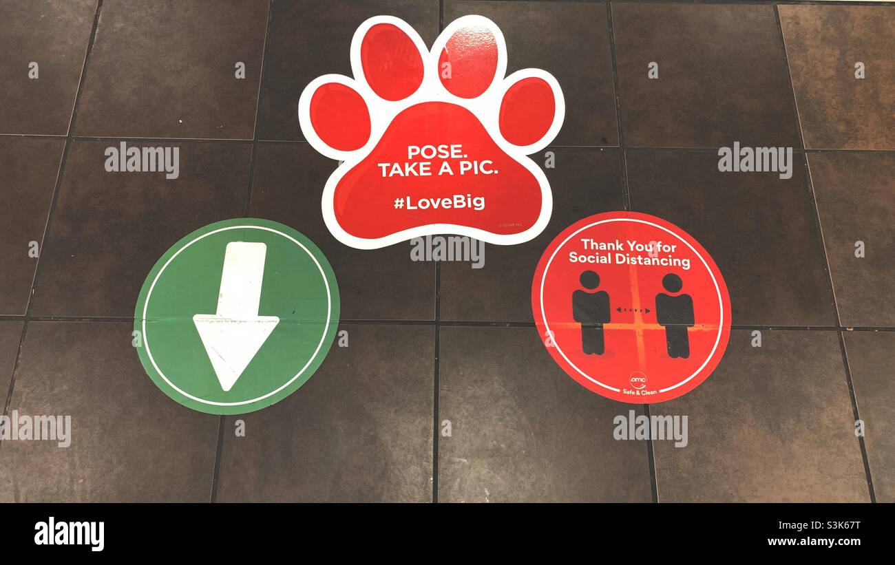 Pose take a pic, love big, arrow and social distancing. - Smartphone Captured Stock Image